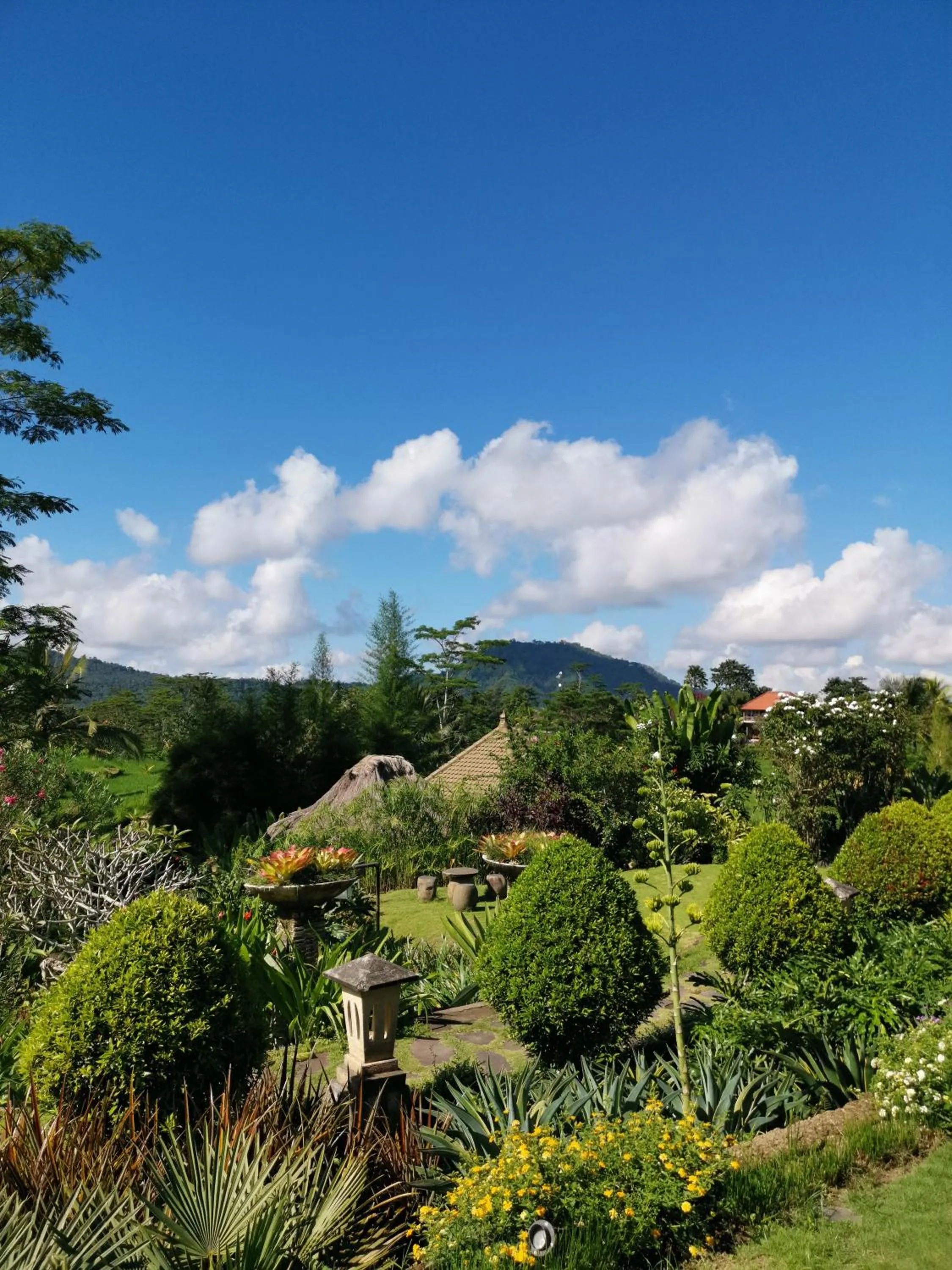Natural landscape in Sawah Indah Villa