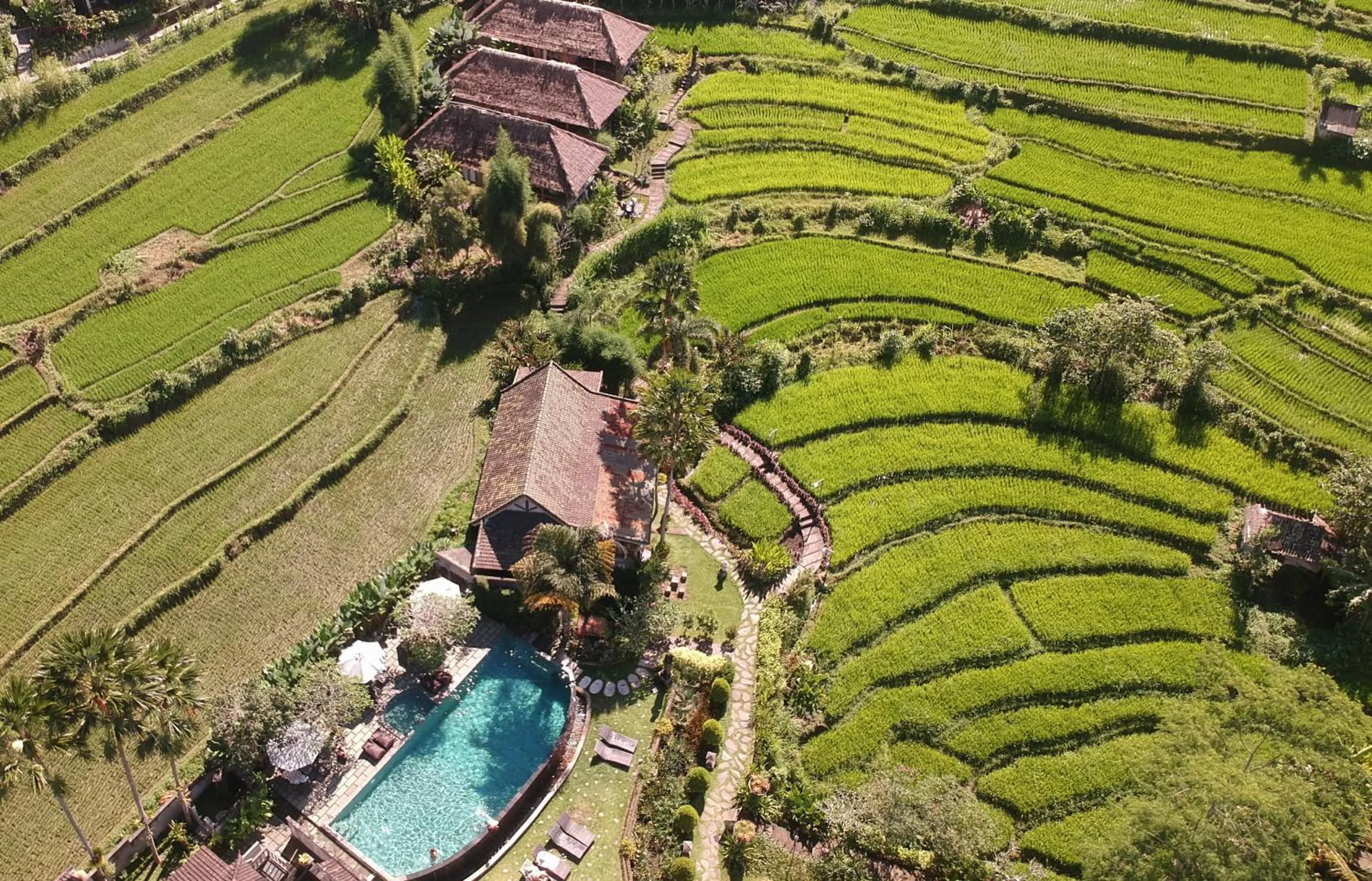 Garden view in Sawah Indah Villa