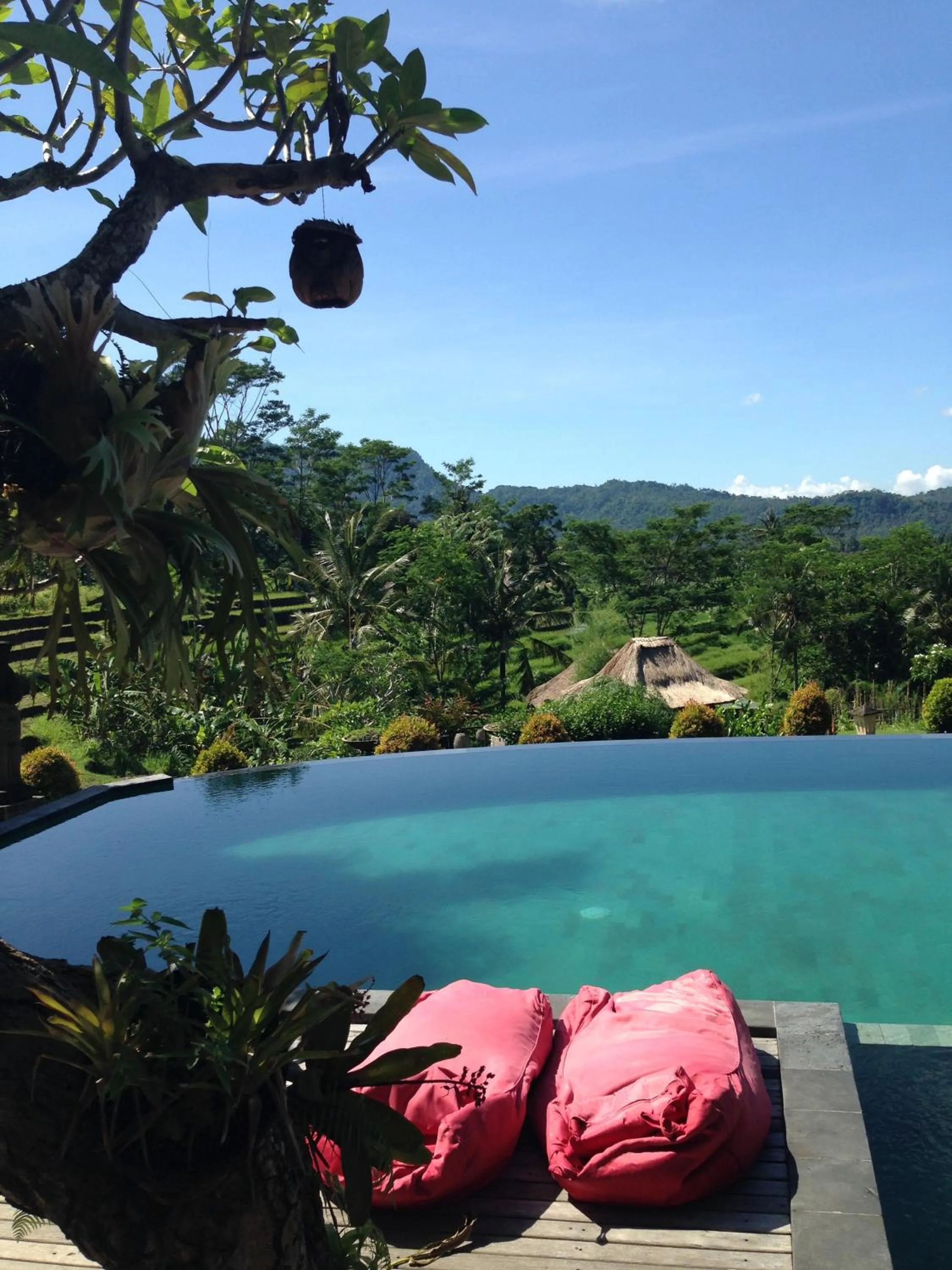 Swimming pool in Sawah Indah Villa