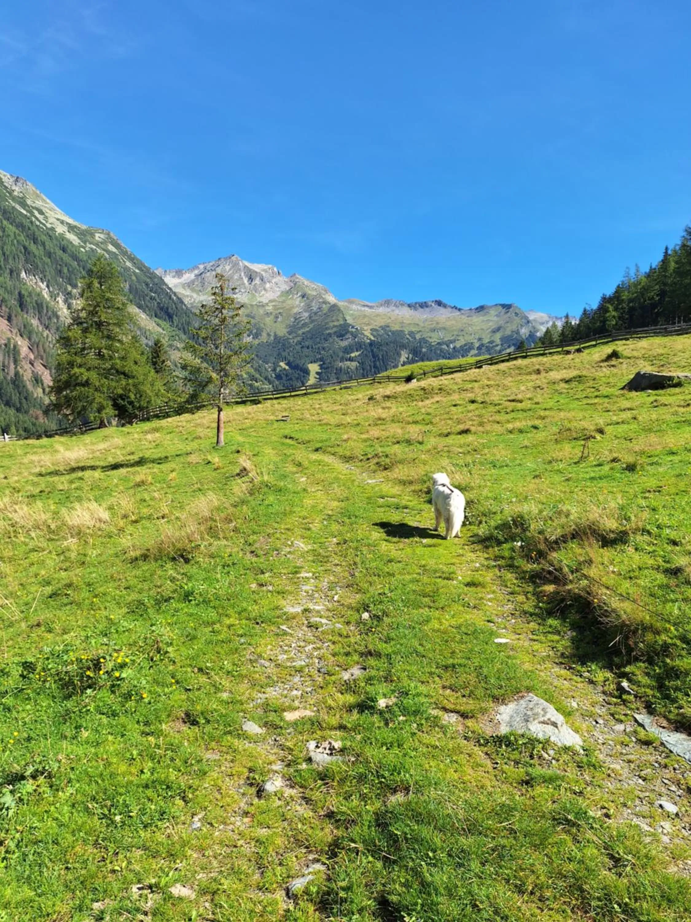 Zirnberg Appartements