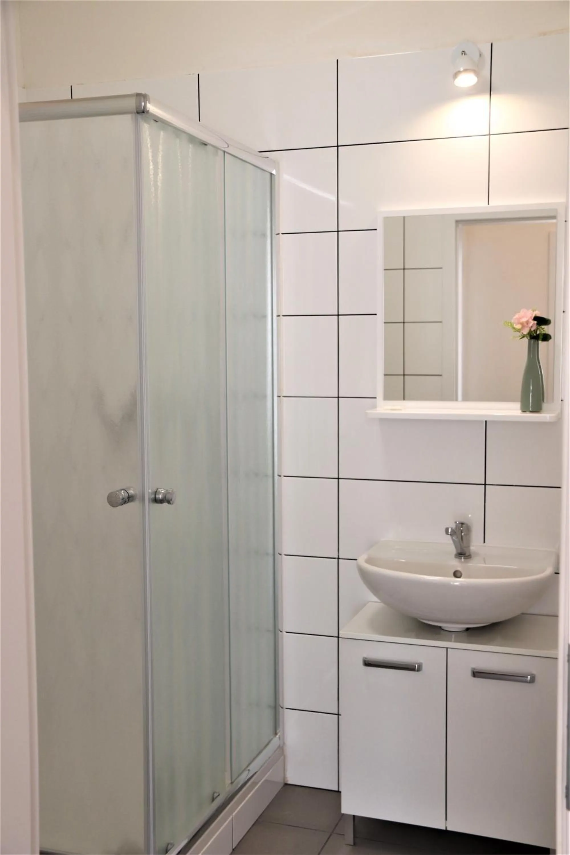 Bathroom in Flowers apartments