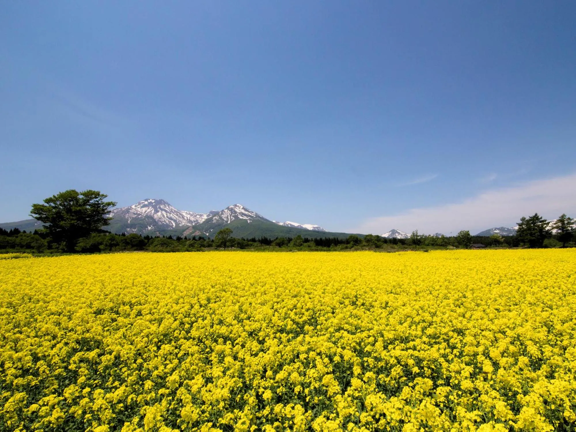 Nearby landmark in Yunoyado Mochizuki