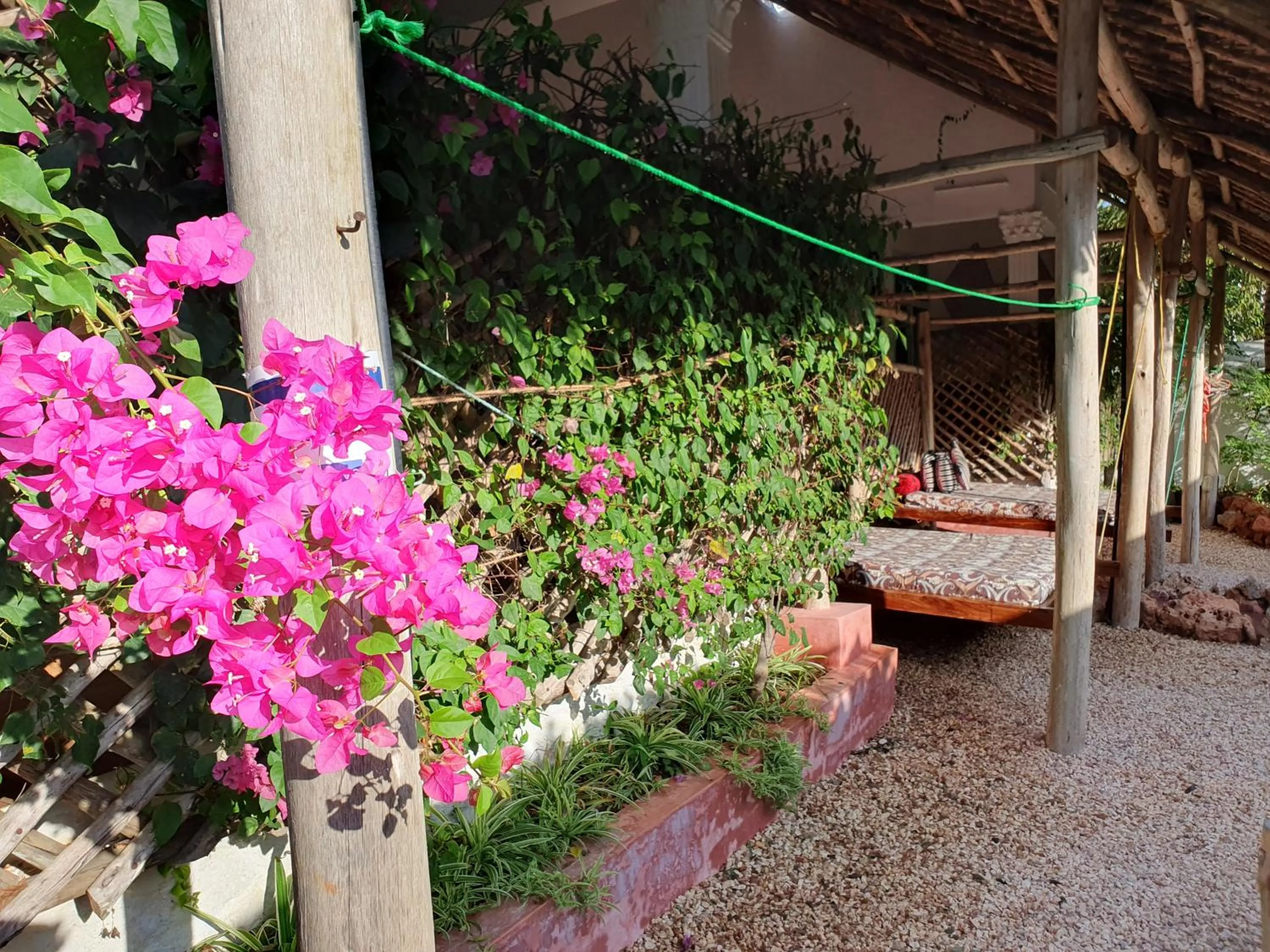 Garden view in BARIDI VILLA