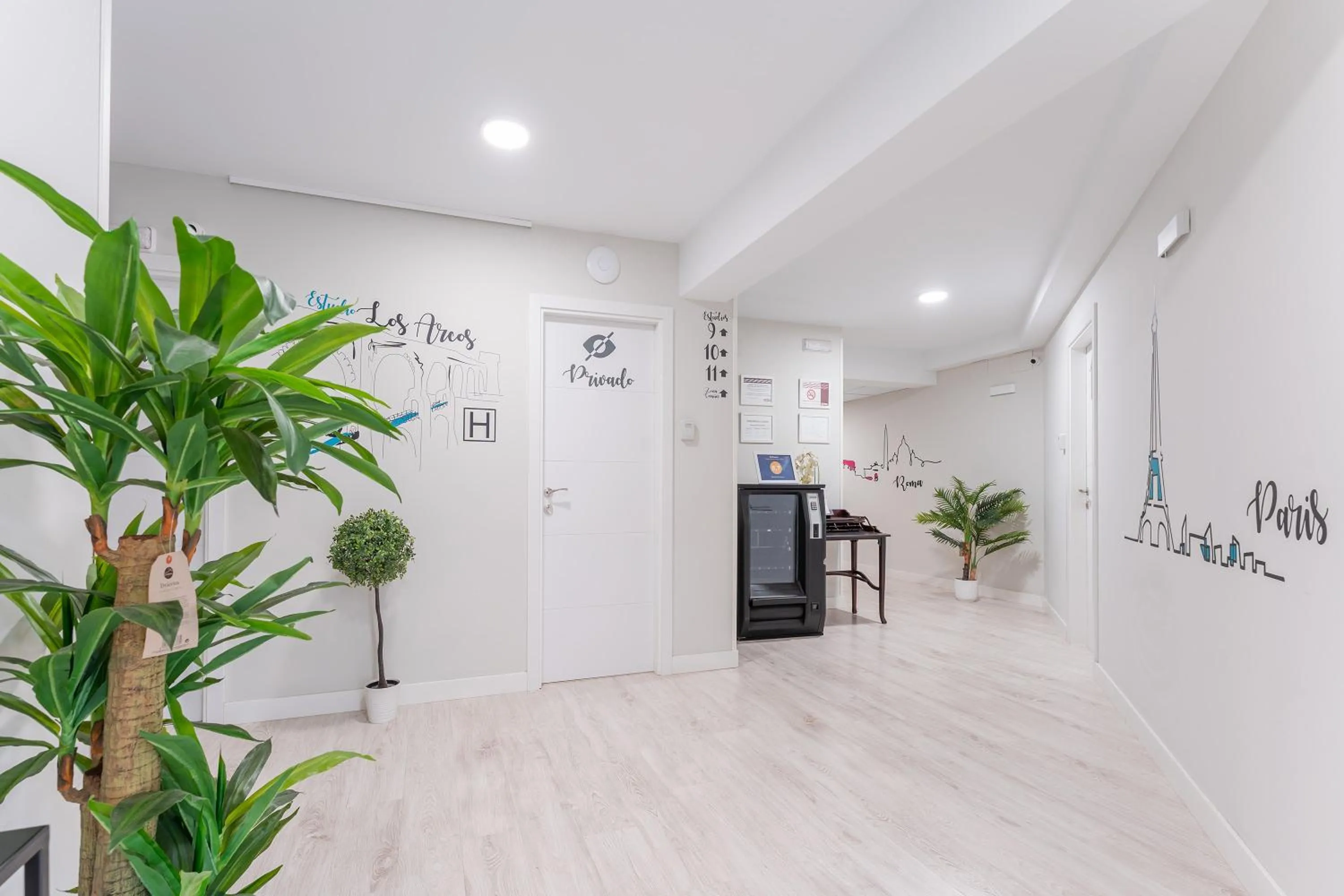 Area and facilities in Estudios los Arcos