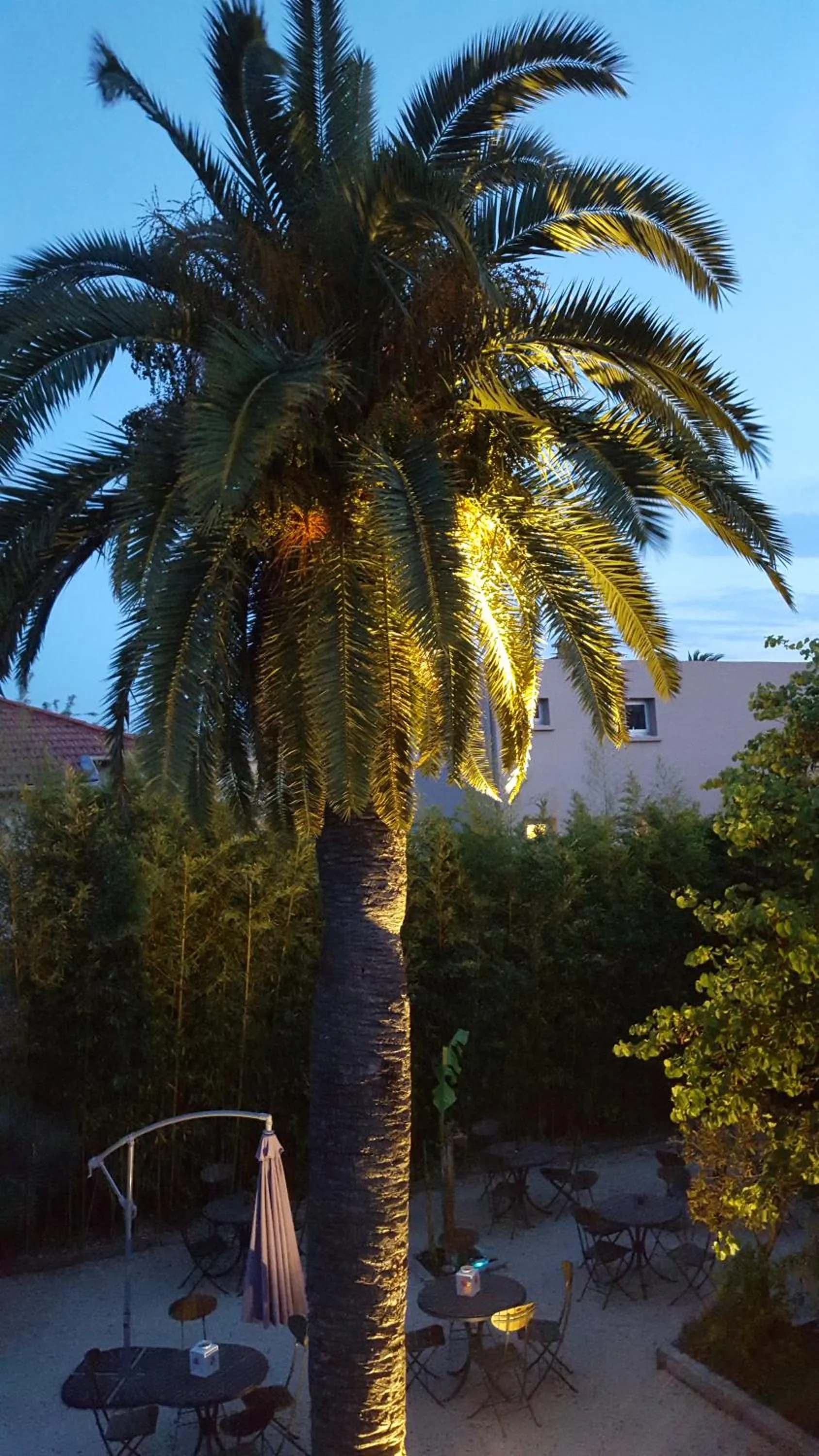 Garden in hôtel Le Synaya