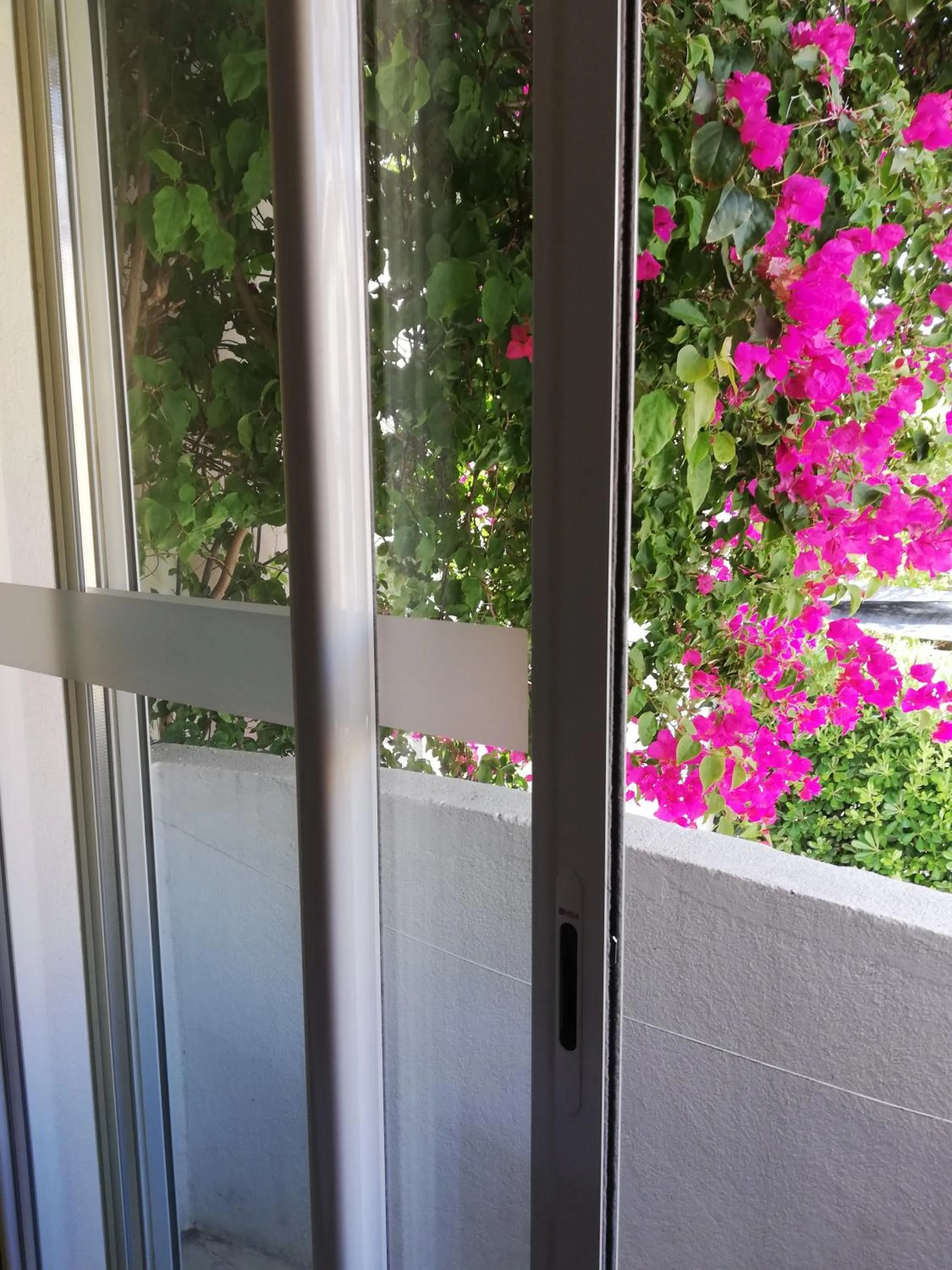 Garden in hôtel Le Synaya