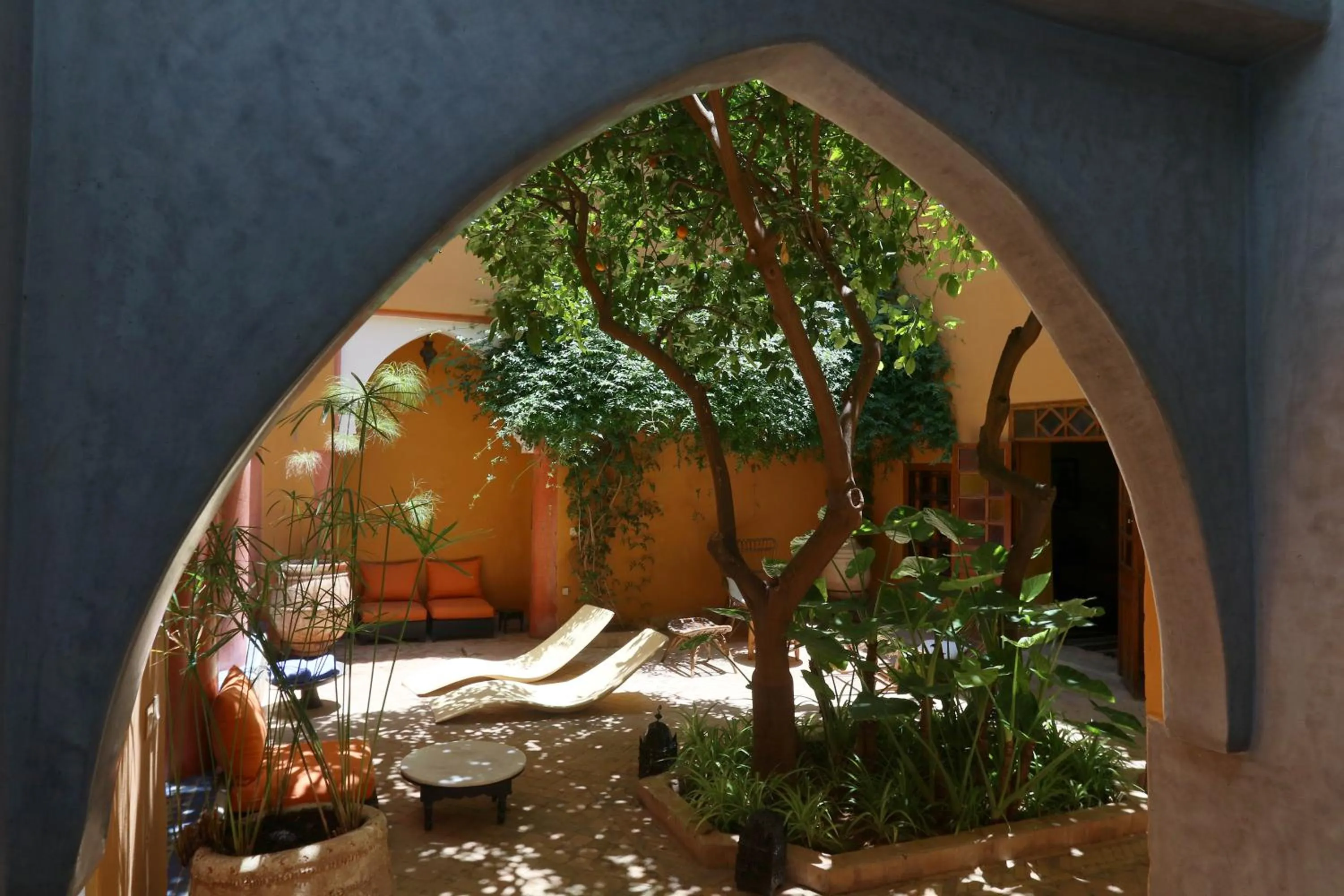 Garden in Ryad El Borj