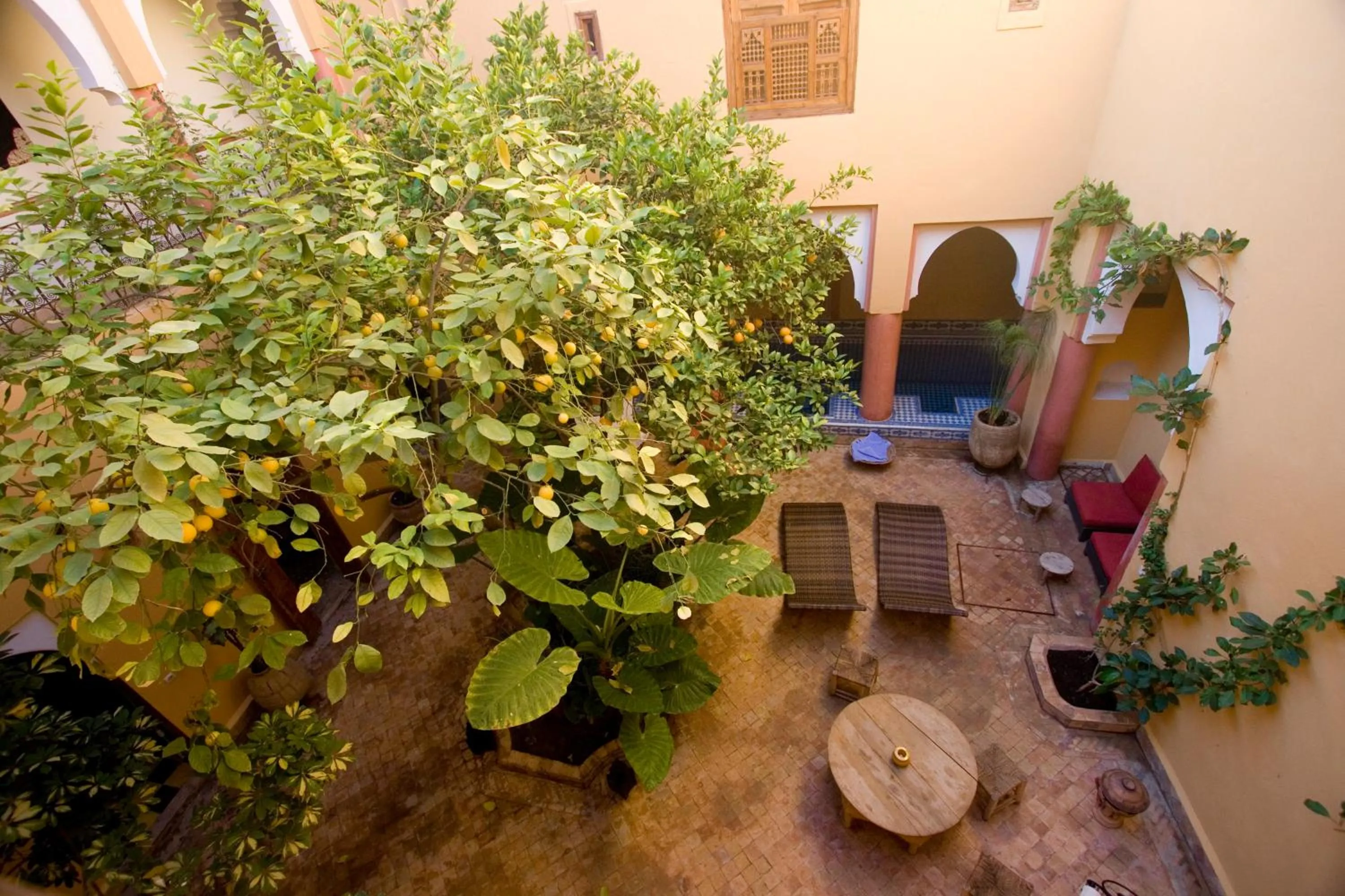 Garden in Ryad El Borj