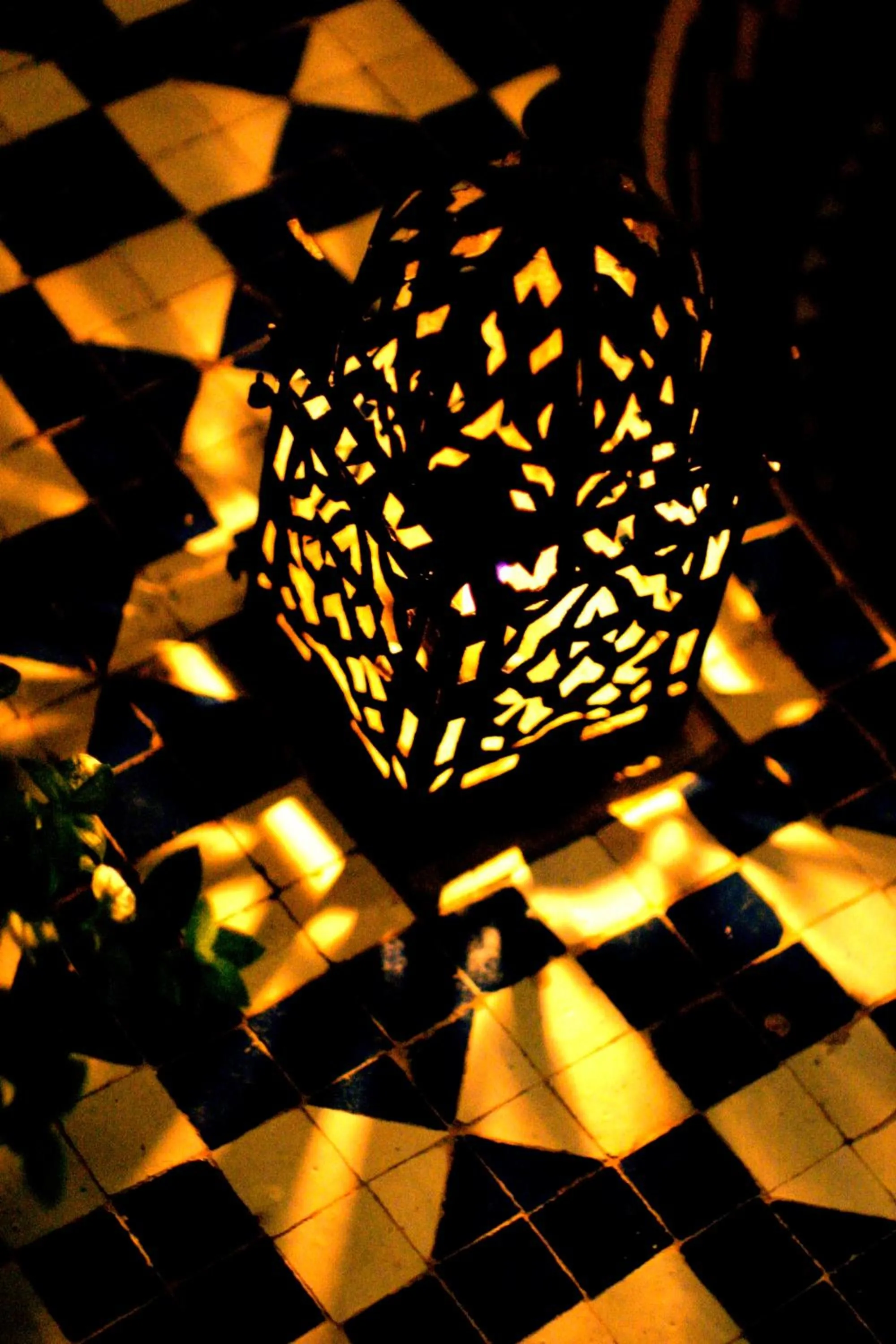 Garden in Ryad El Borj