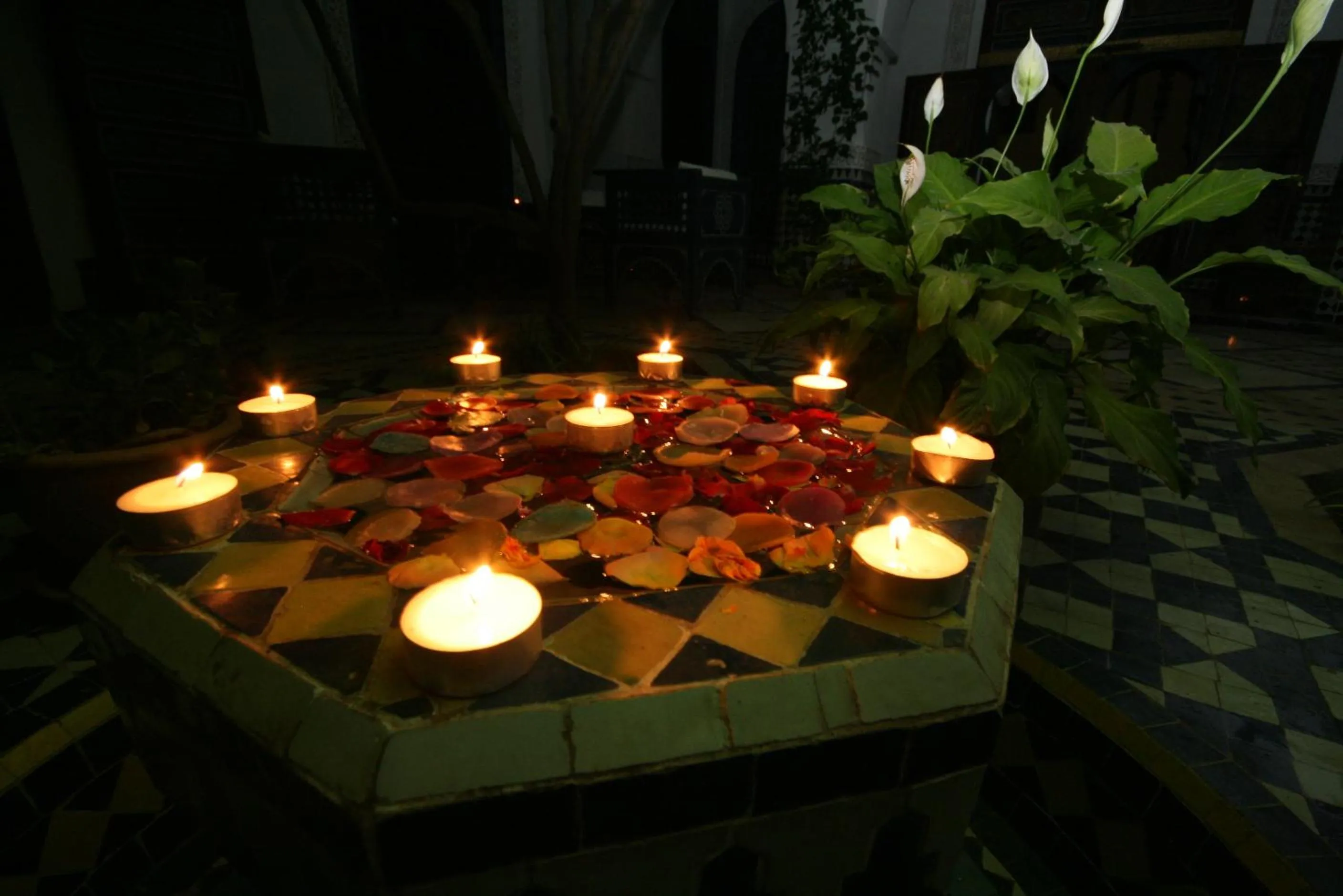 Garden in Ryad El Borj