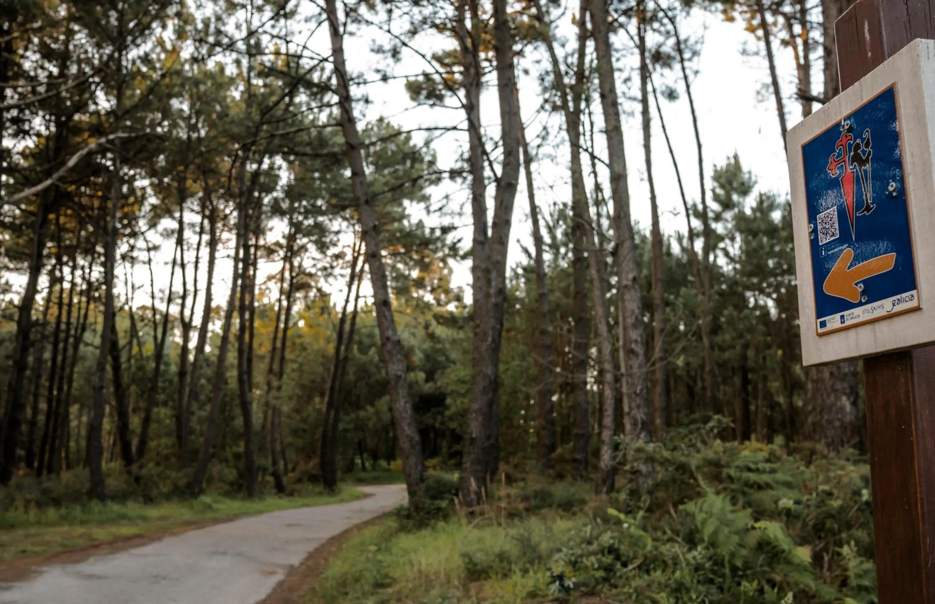 Hotel Caribe Sanxenxo