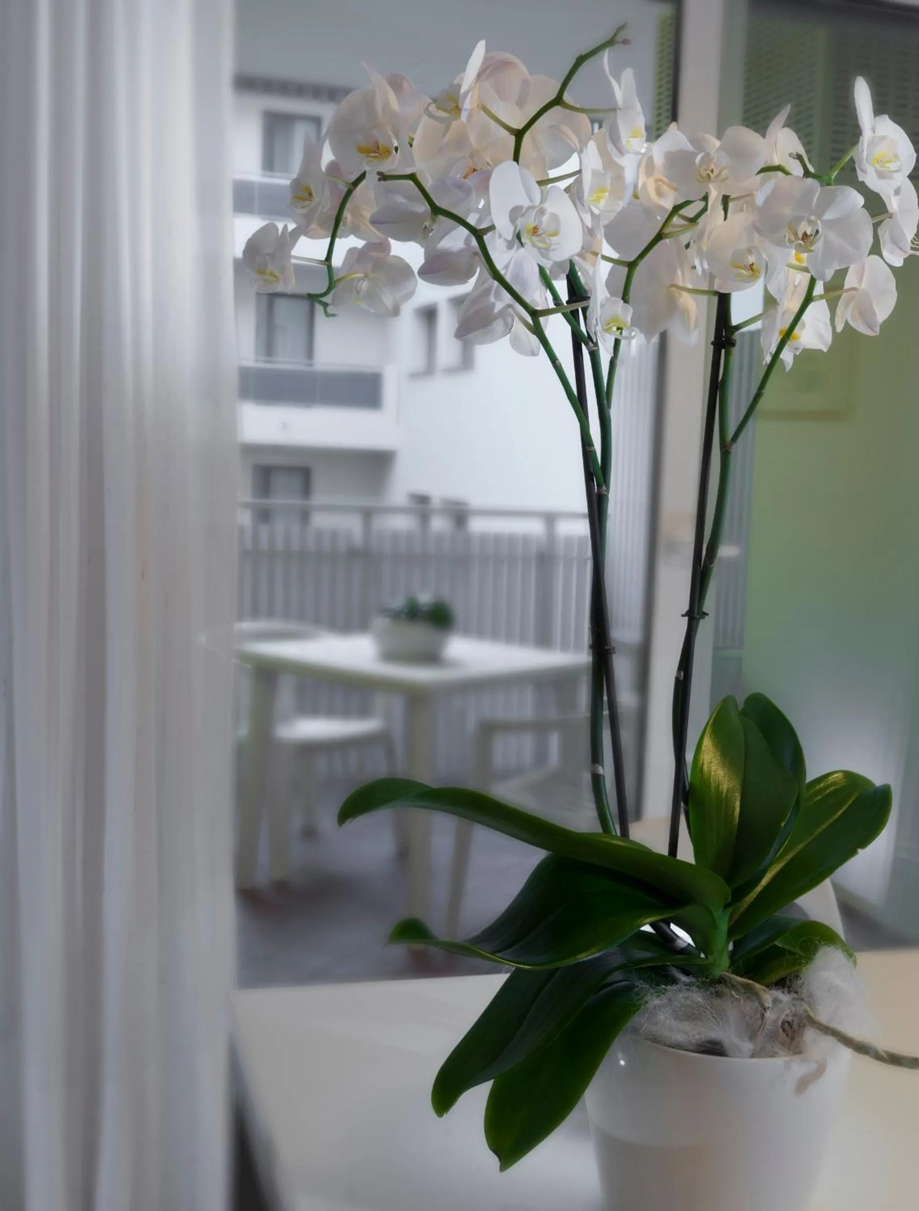 Decorative detail in Appartamenti Aurora