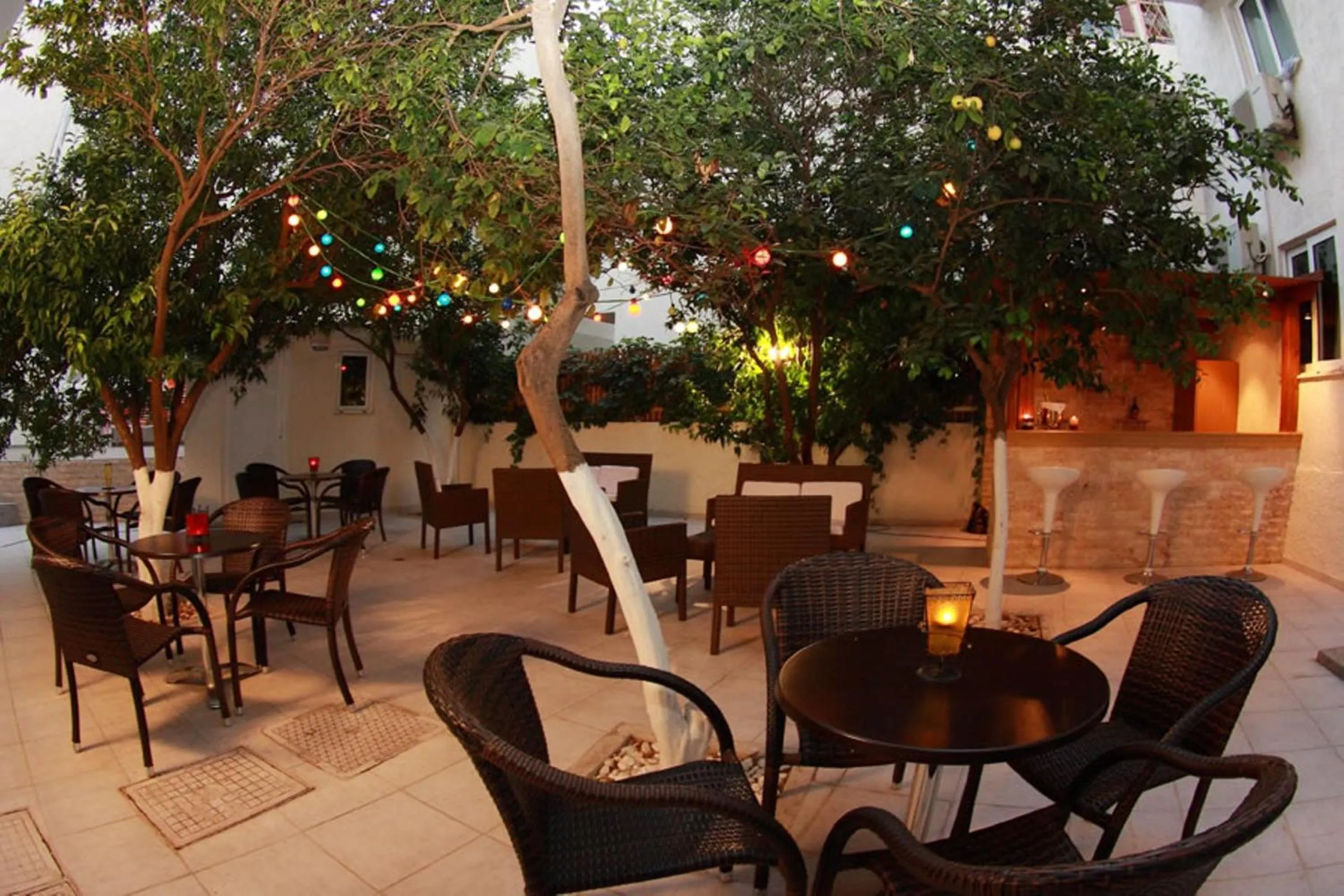 Garden in Nancy Hotel