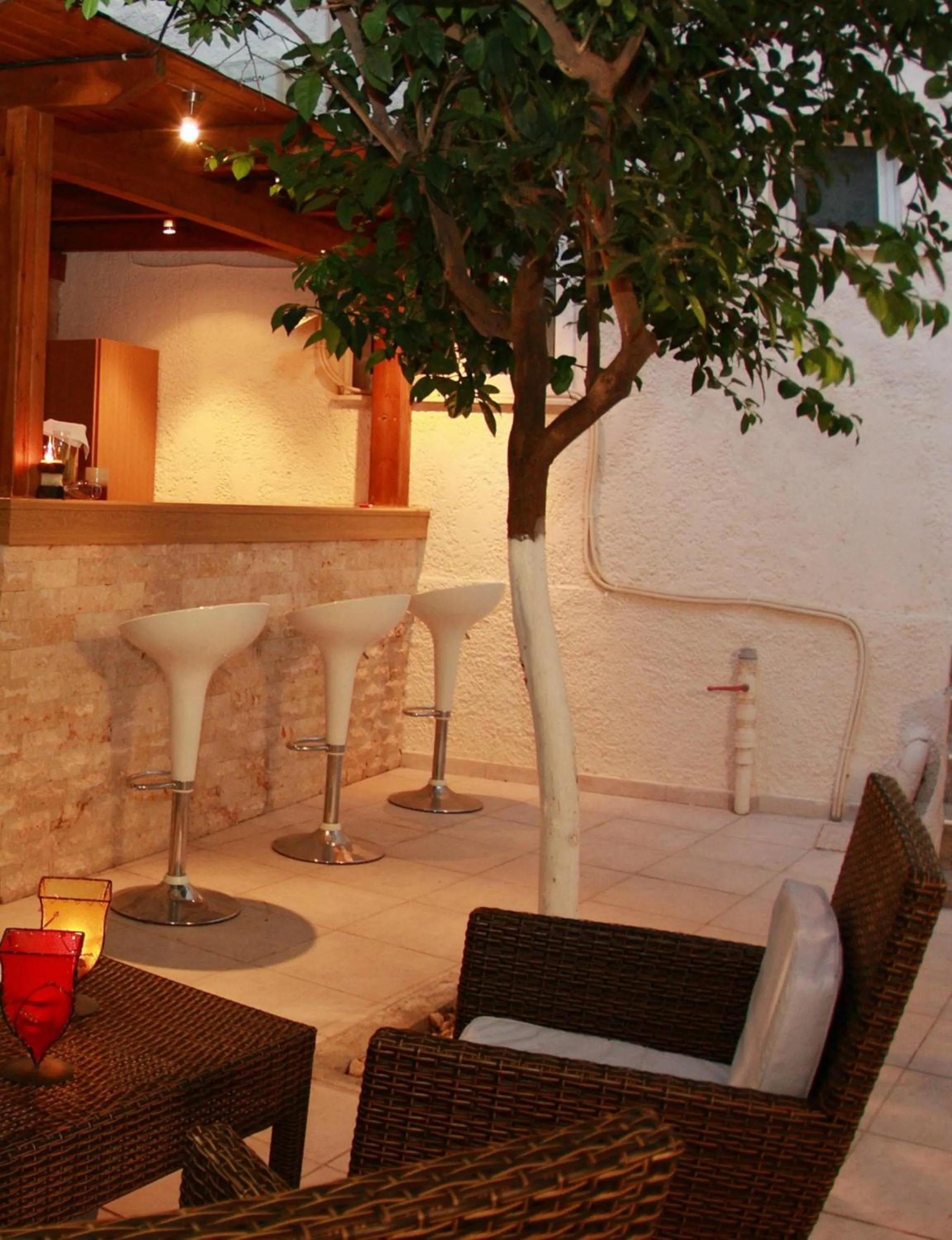 Garden in Nancy Hotel