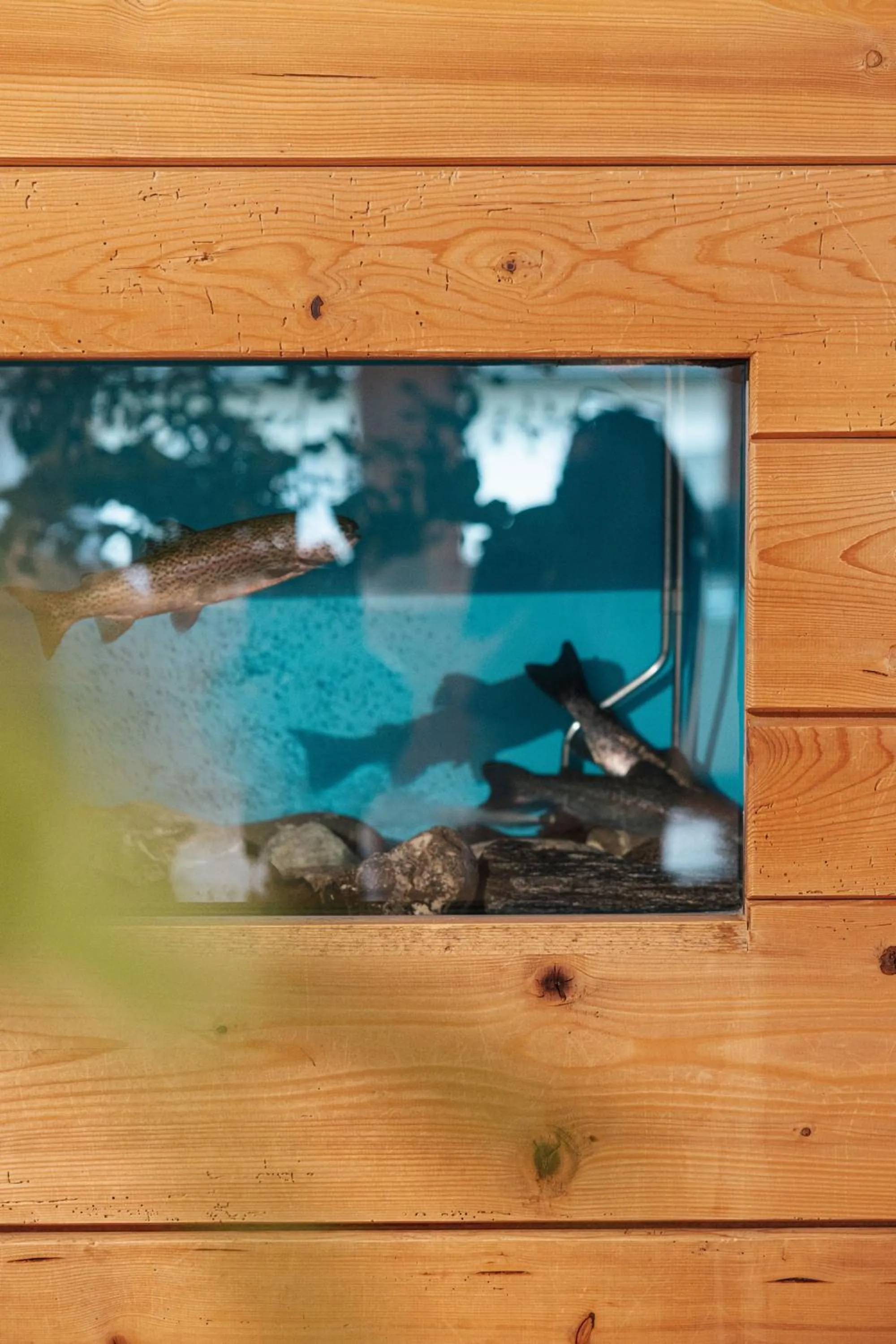 Lobby or reception in Krone Hittisau - Hotel & Restaurant im Bregenzerwald