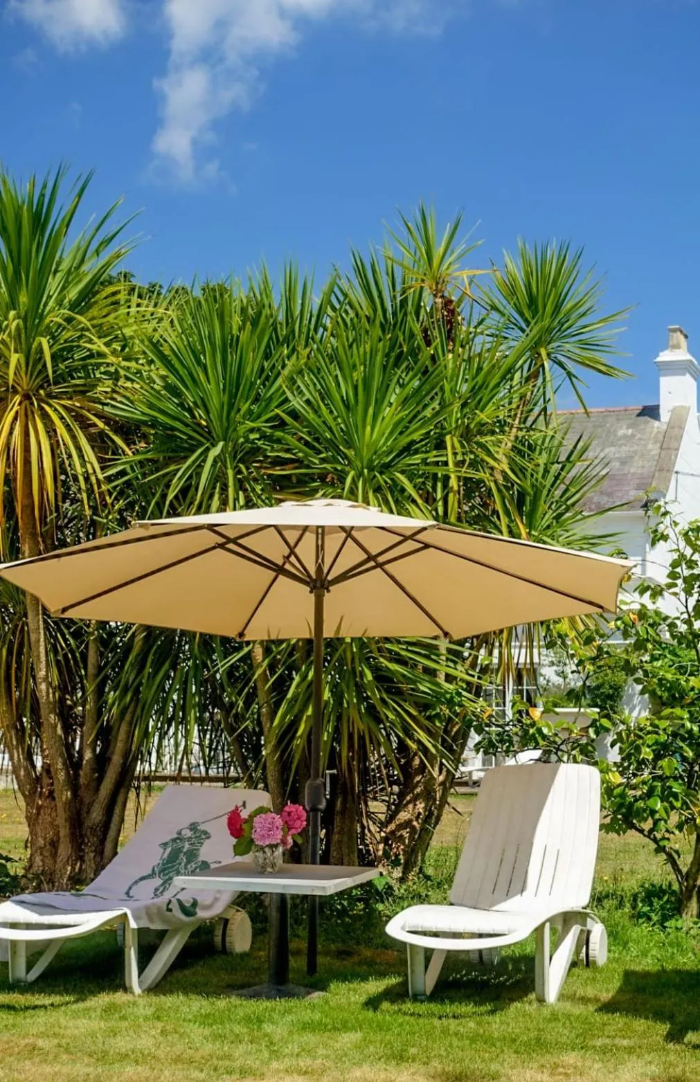 Swimming pool in Cedar House Boutique B&B