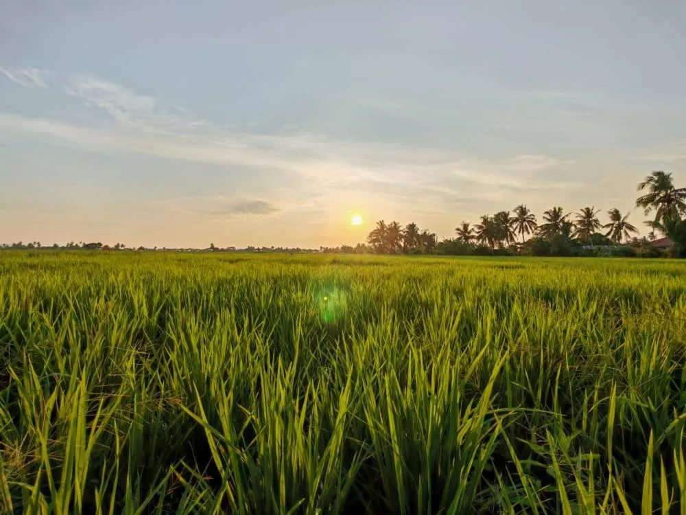 Dangau Sala D'Kontena