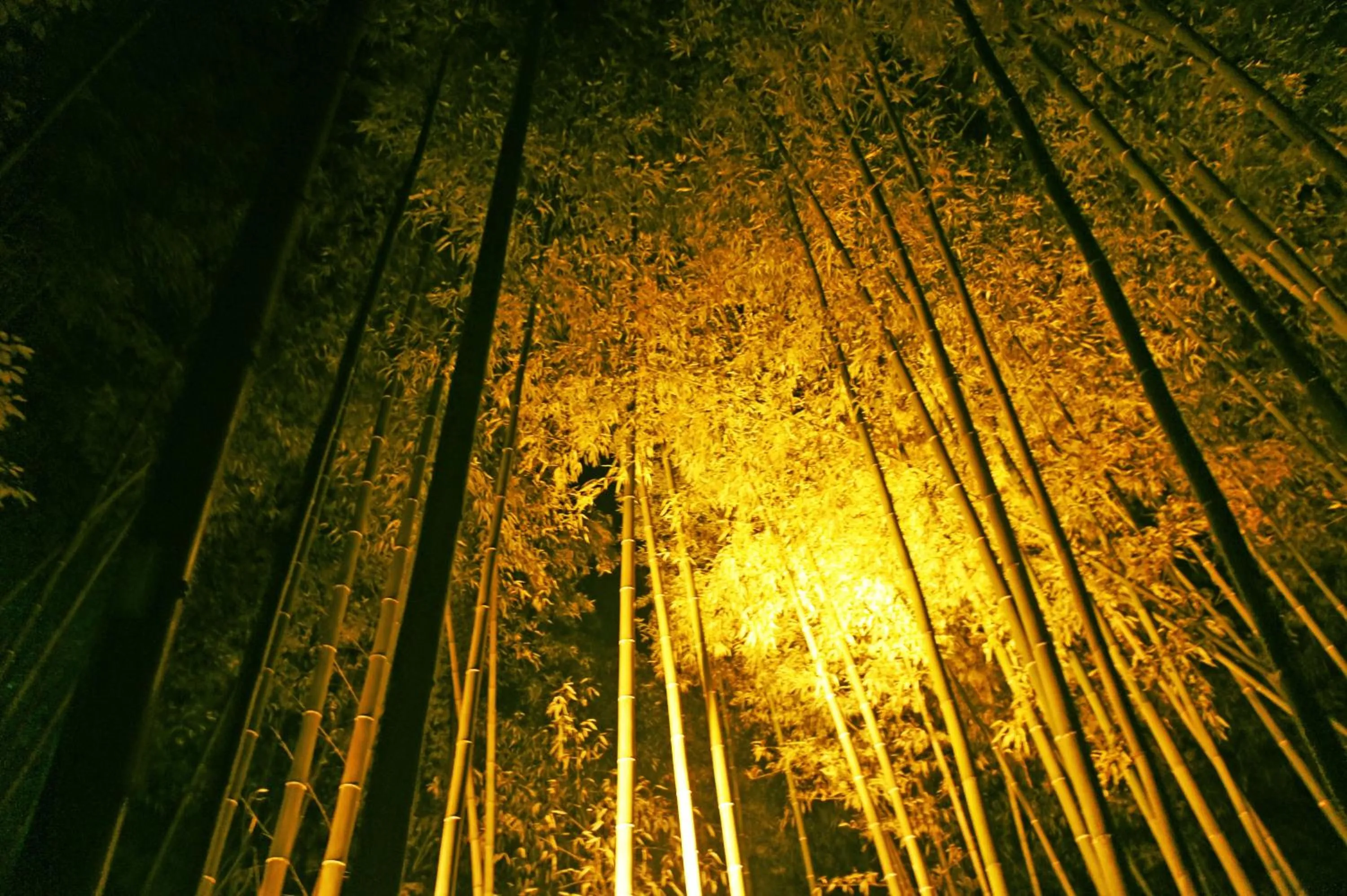 Nearby landmark in Stay SAKURA Kyoto Matsuri