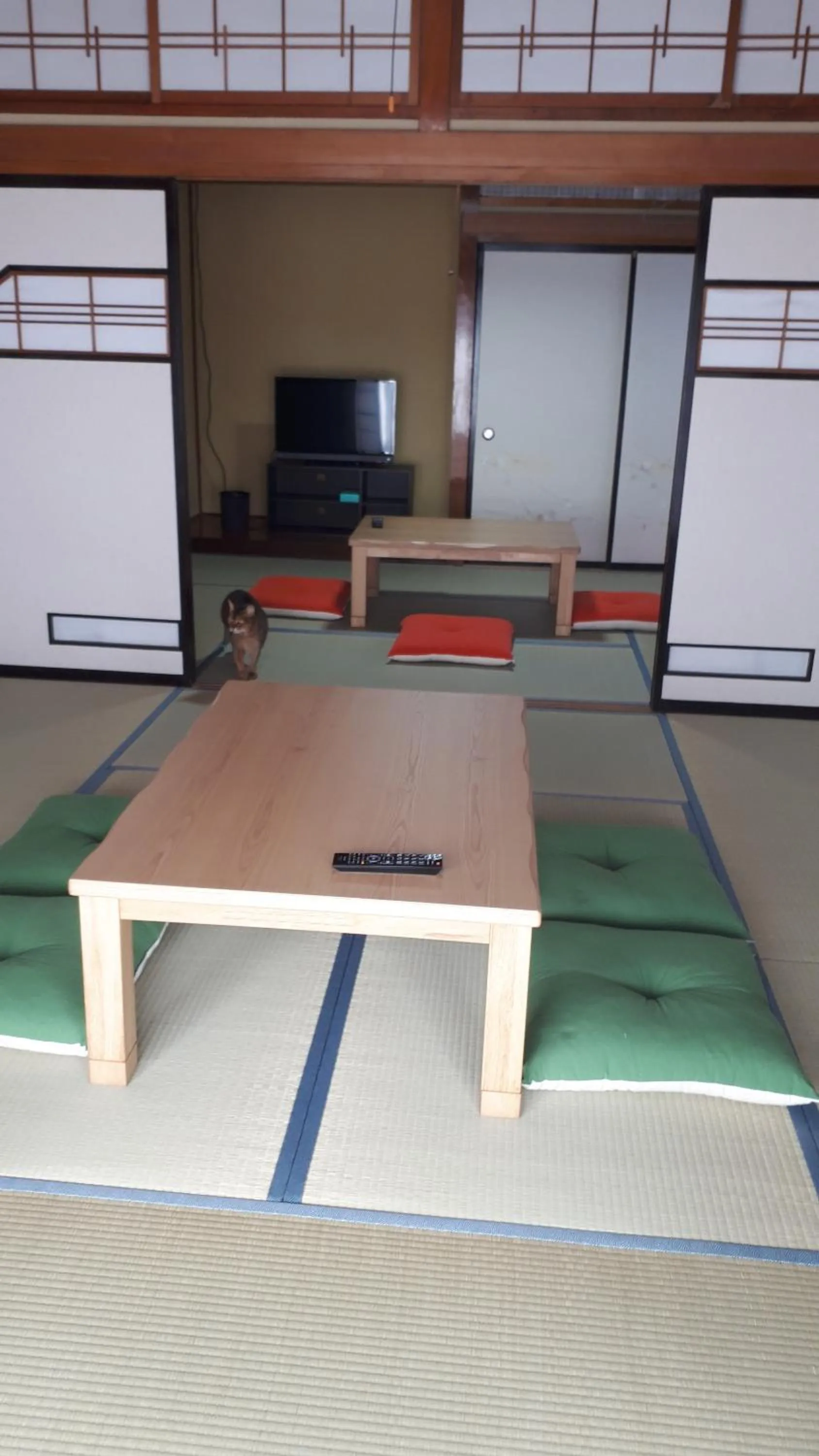 Photo of the whole room in Rosencat