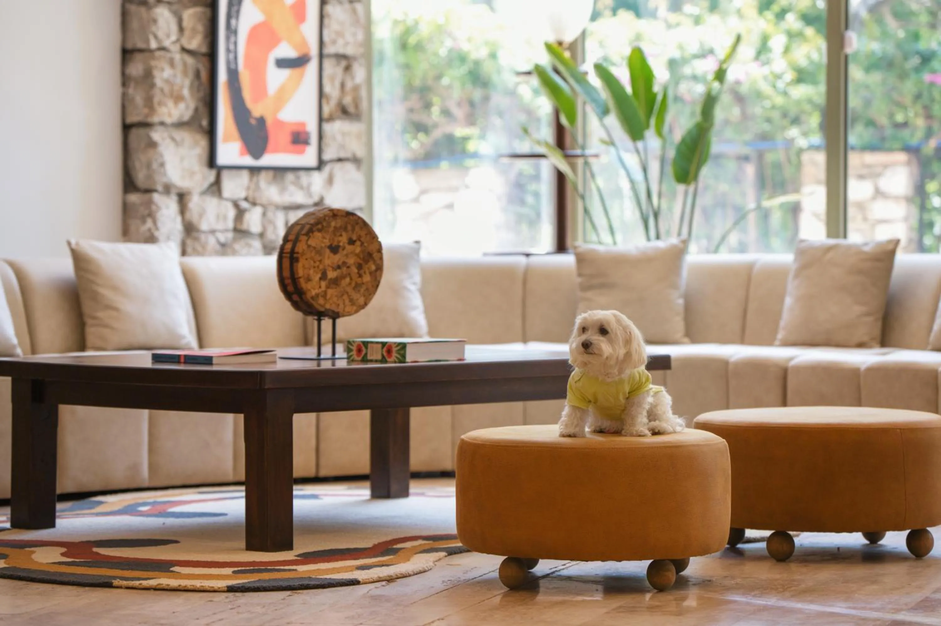 Day in Marti La Perla - Adult Only+16