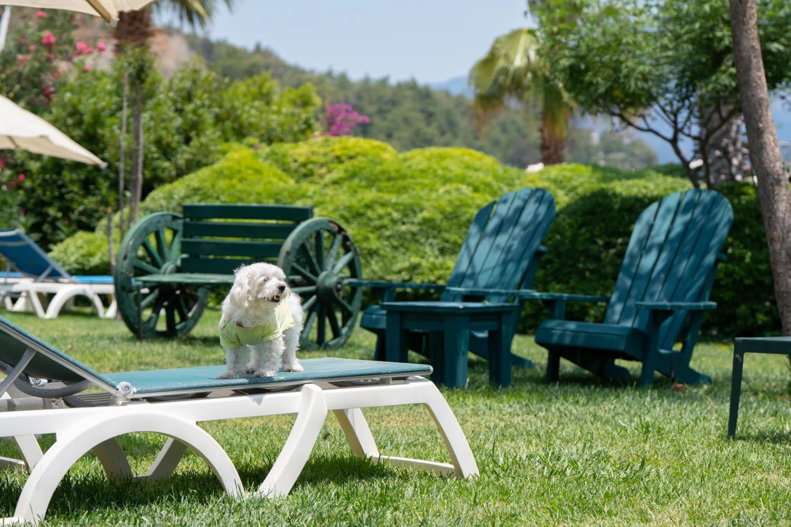 Day in Marti La Perla - Adult Only+16