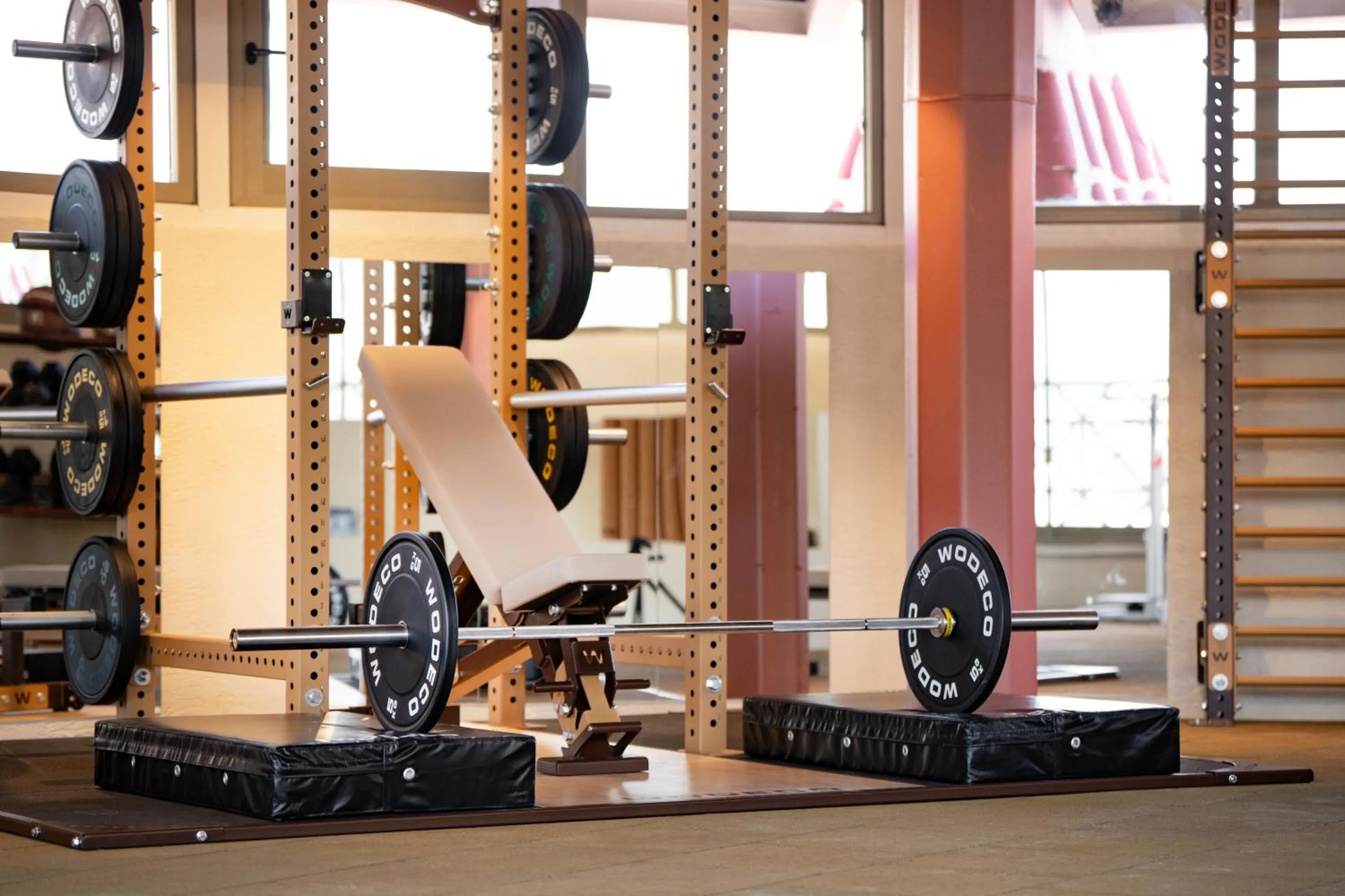 Fitness centre/facilities in Marti La Perla - Adult Only+16