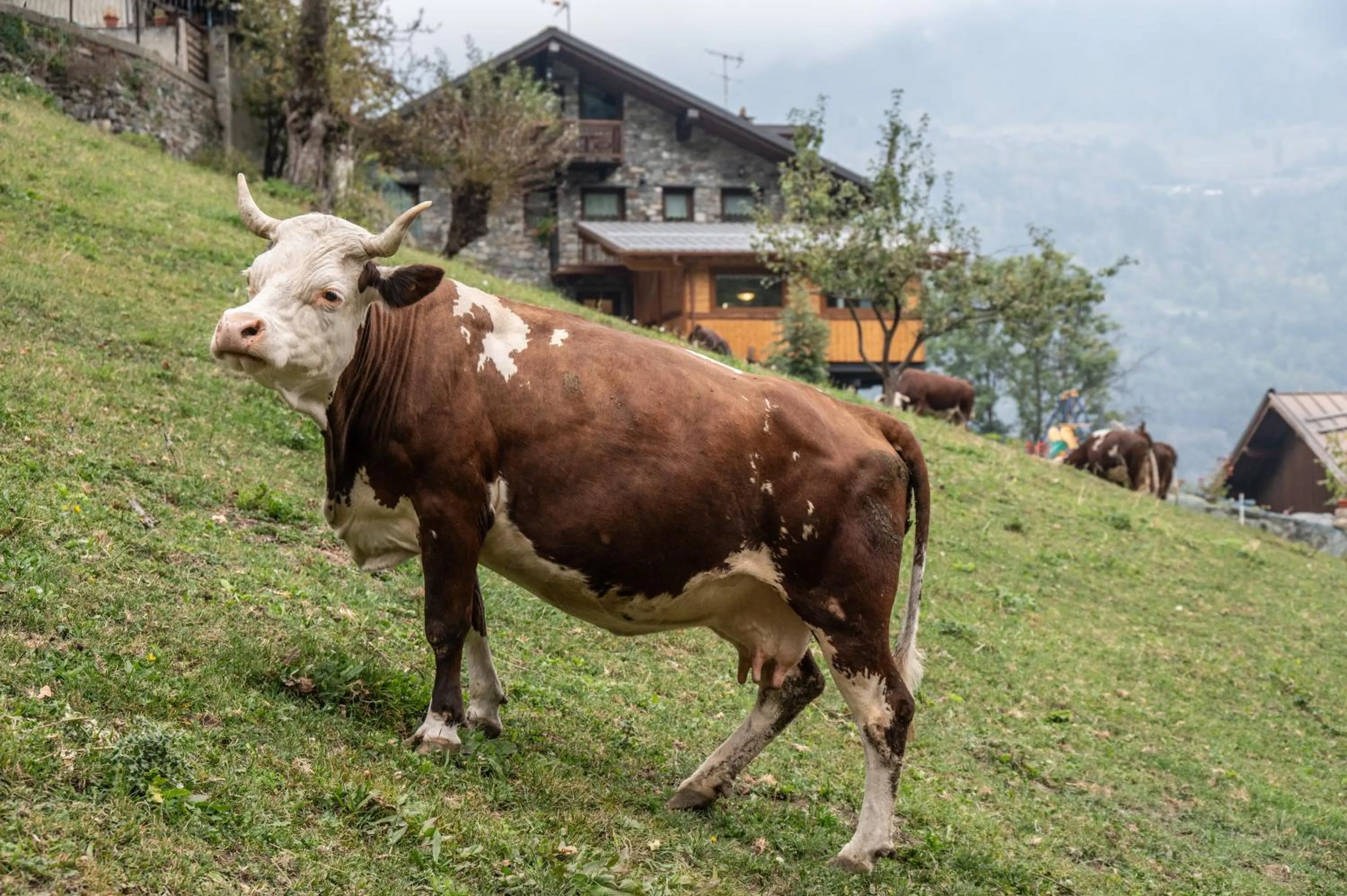 Property building in Agriturismo La Clochette