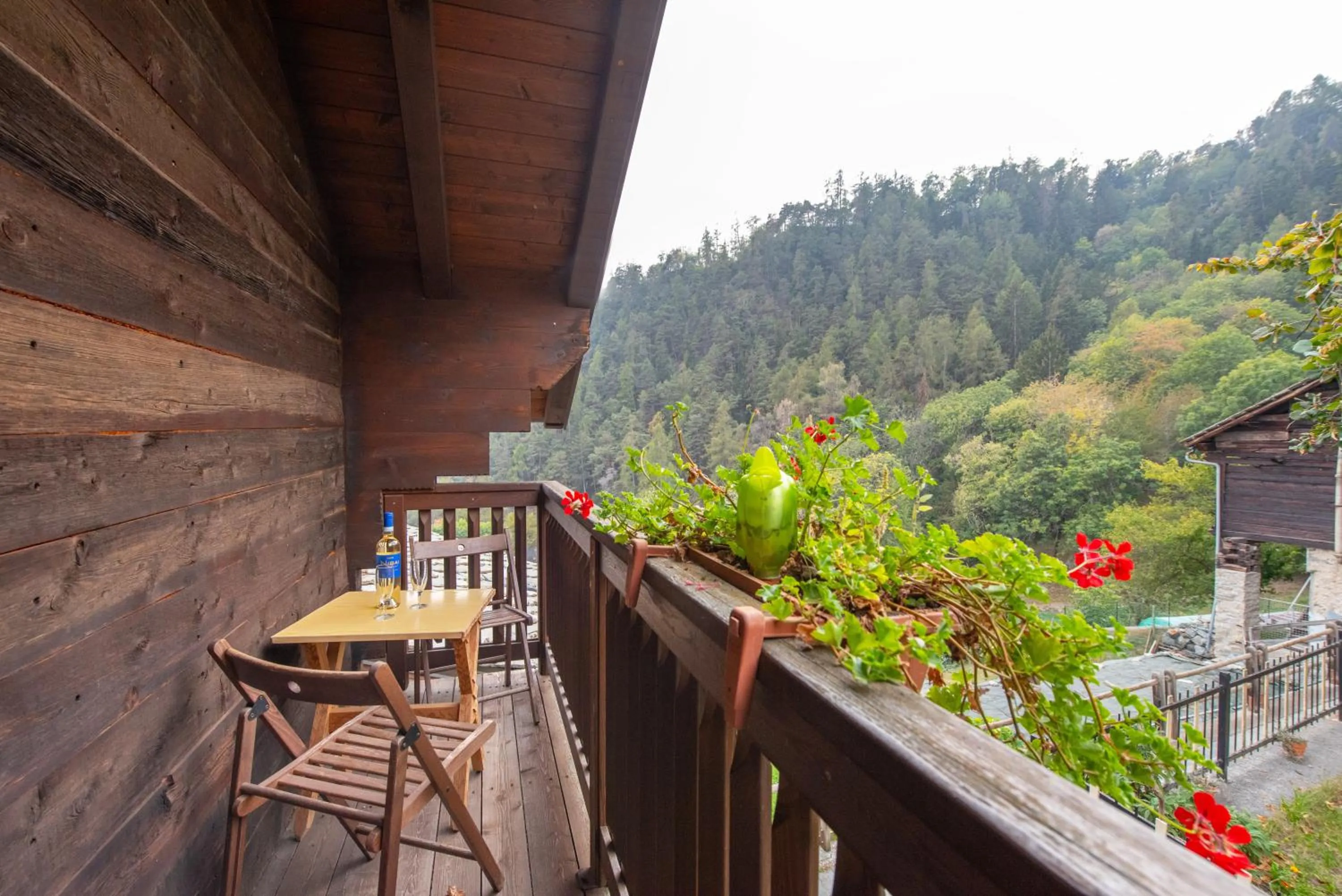 View (from property/room) in Agriturismo La Clochette