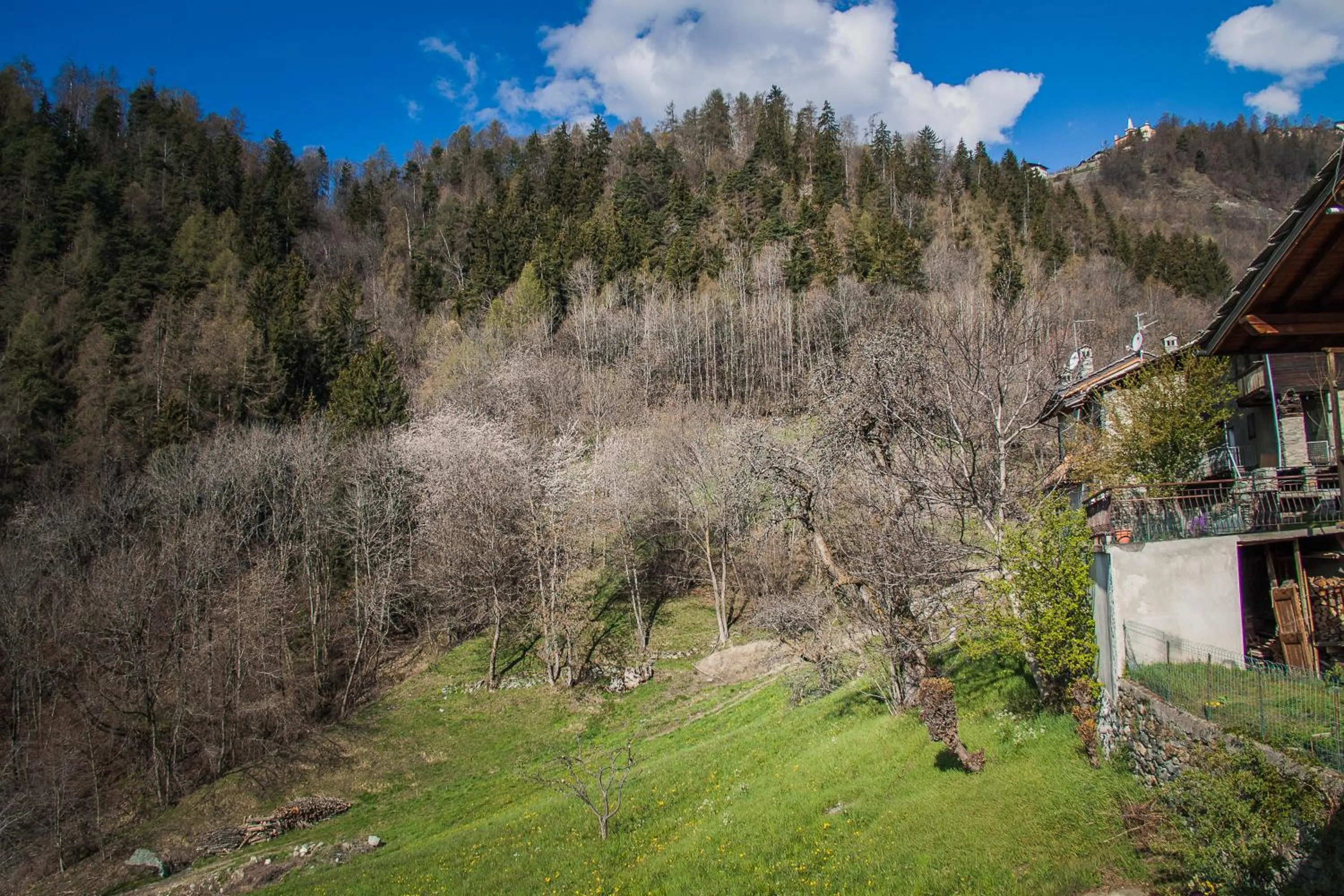View (from property/room) in Agriturismo La Clochette
