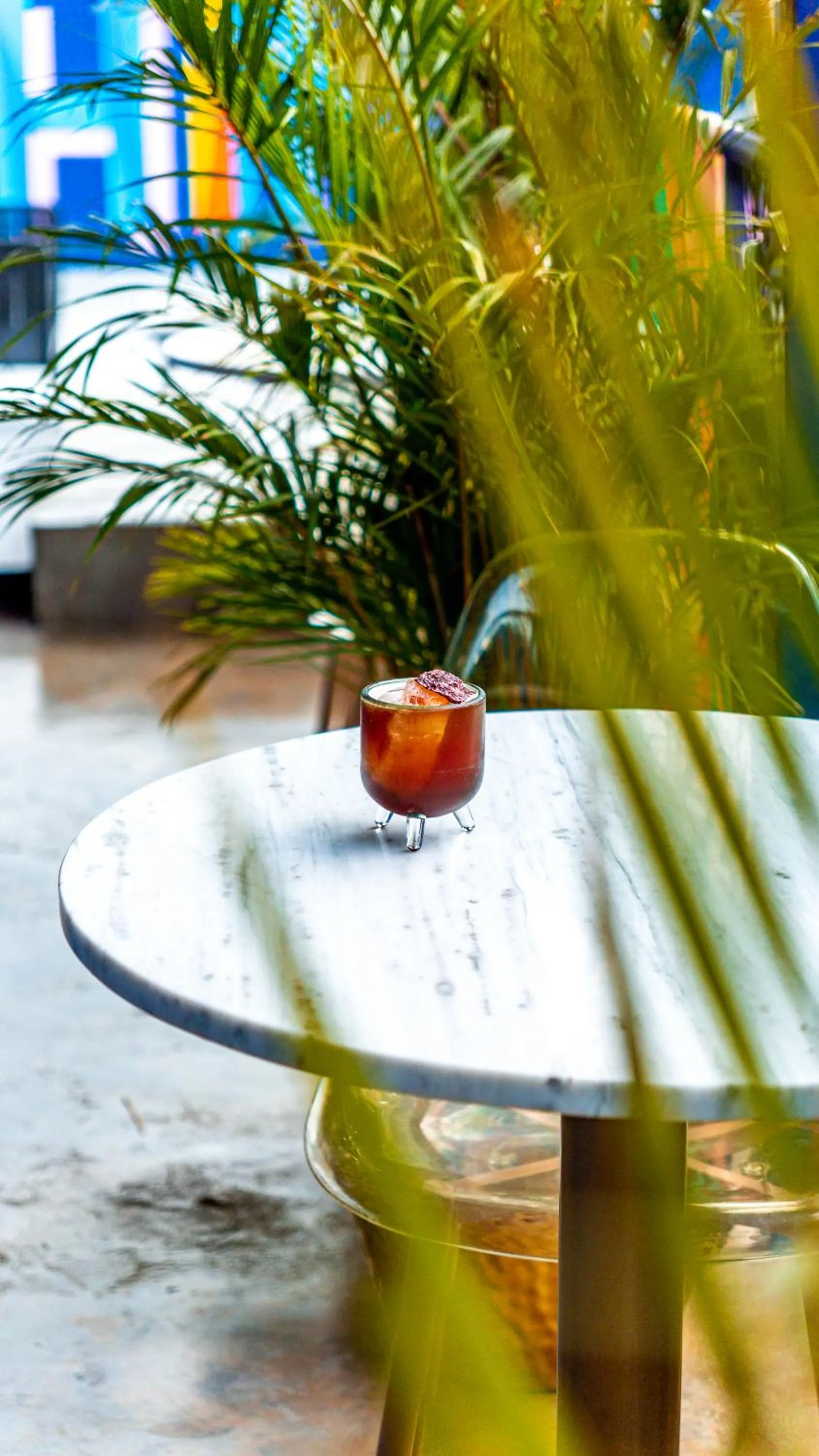 Lounge or bar in Hotel Suculenta Boutique