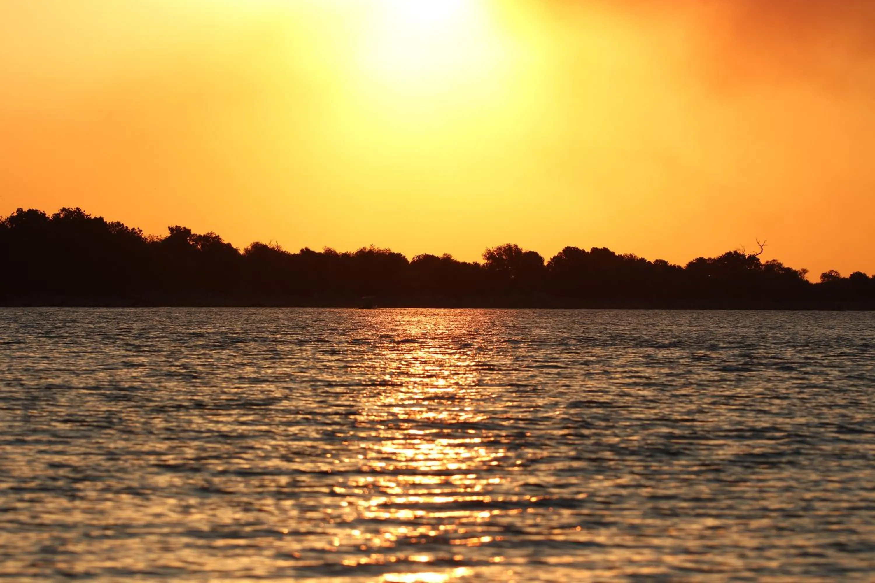 Natural landscape in Tlou Safari Lodge