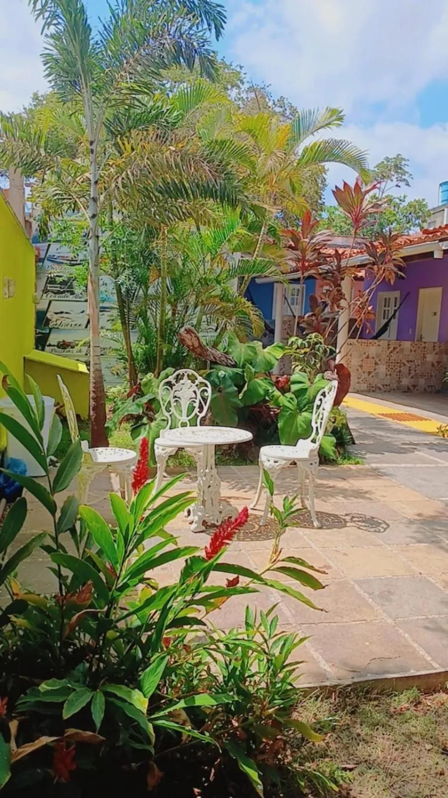 Garden view in Recanto das Arvores