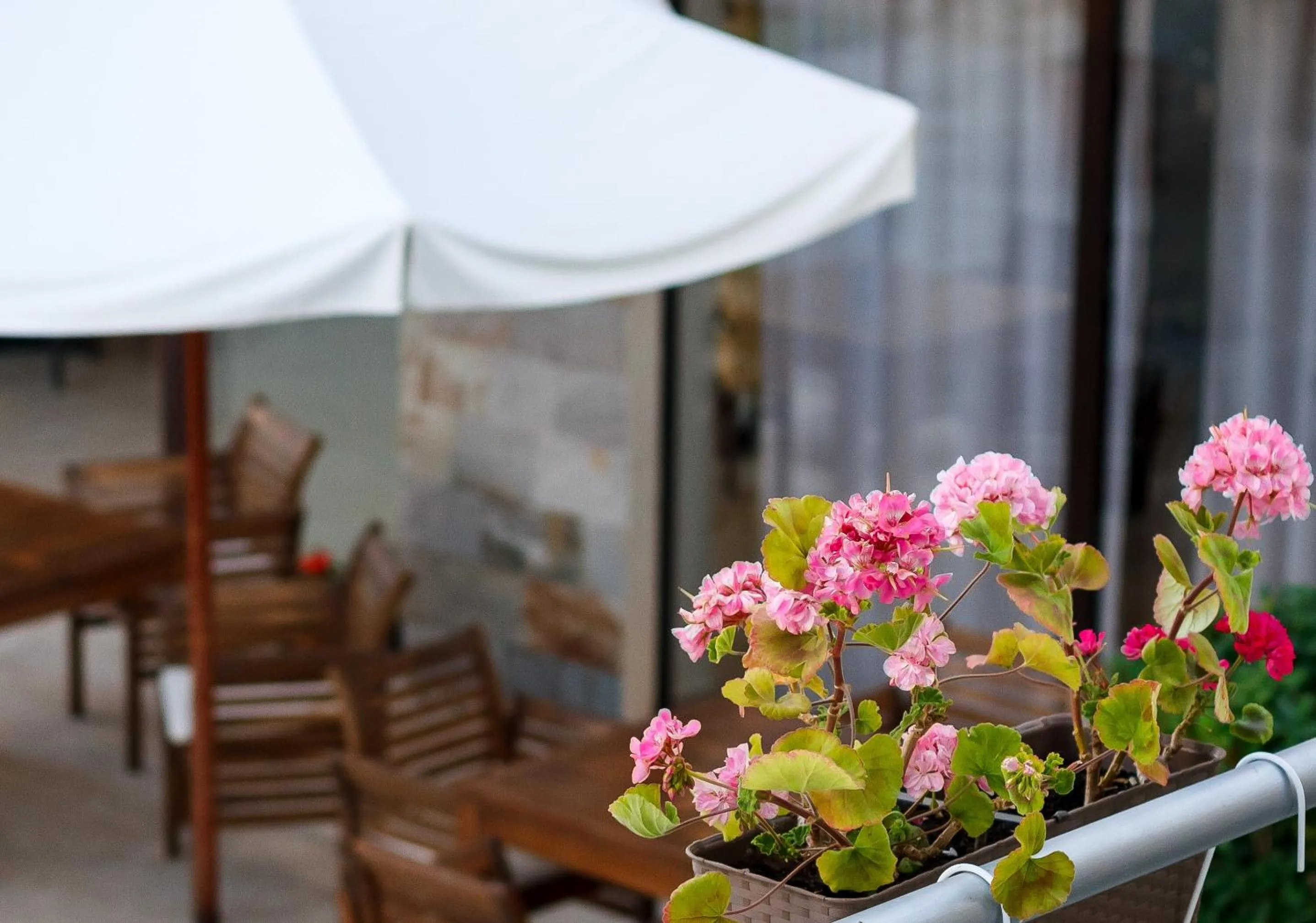 Garden view in New Line Village Apartments