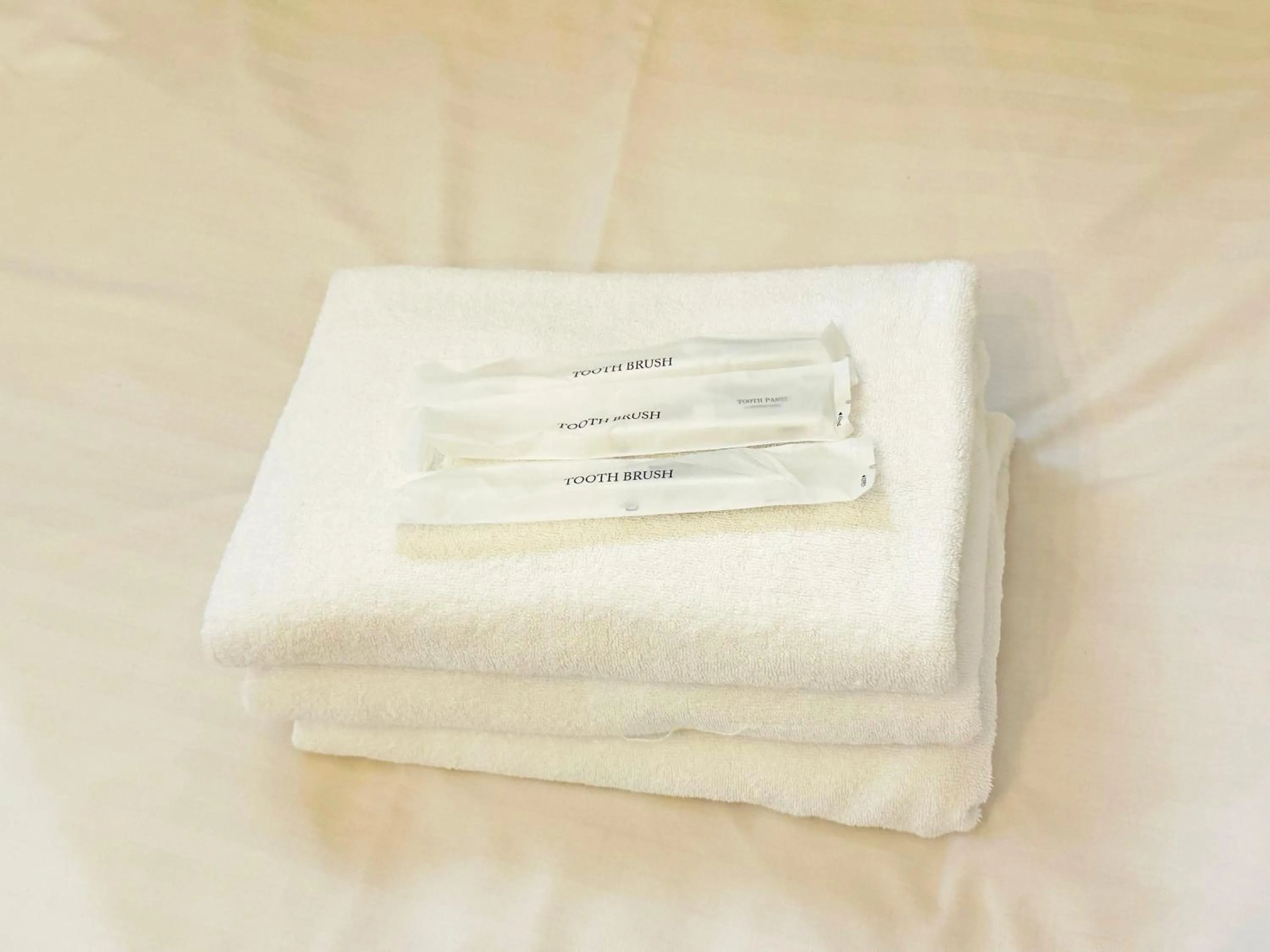 towels in Hotel Ritza HAKATA