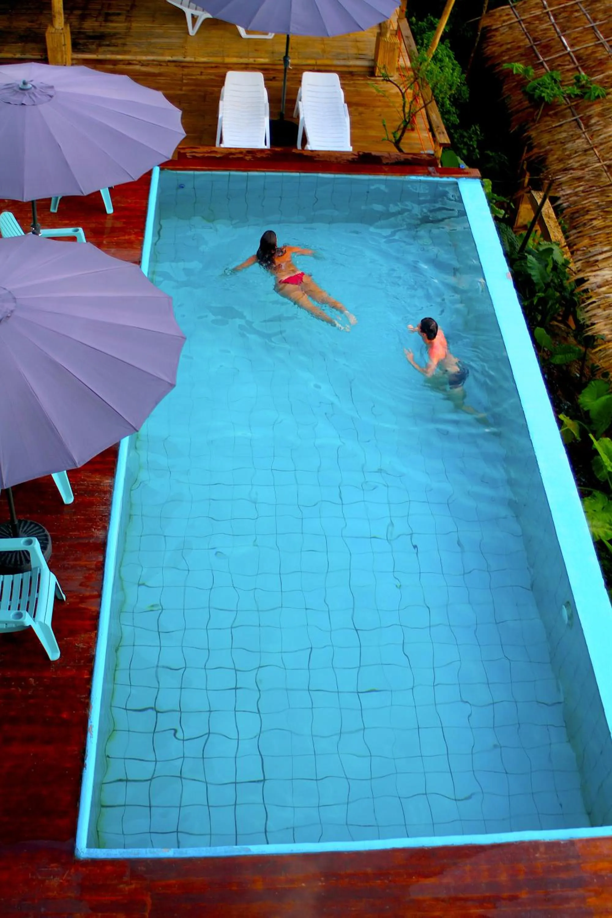 Pool view in Lexias Hostel and Workspace - El Nido