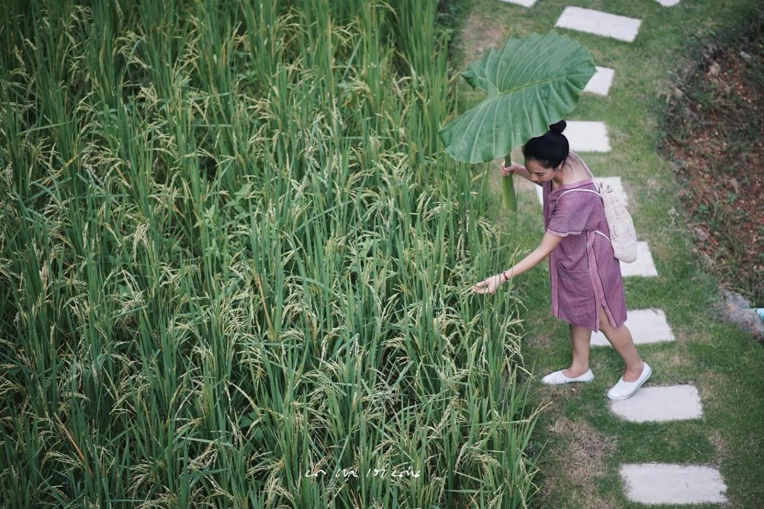 View (from property/room) in Nannirun Resort