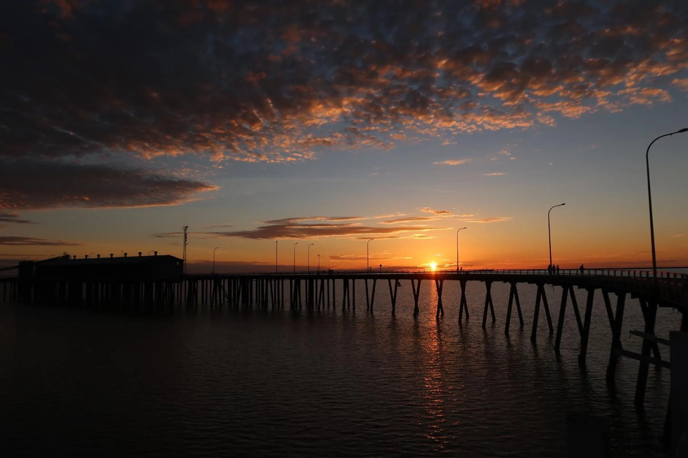 Natural landscape in Mud Crab Motel