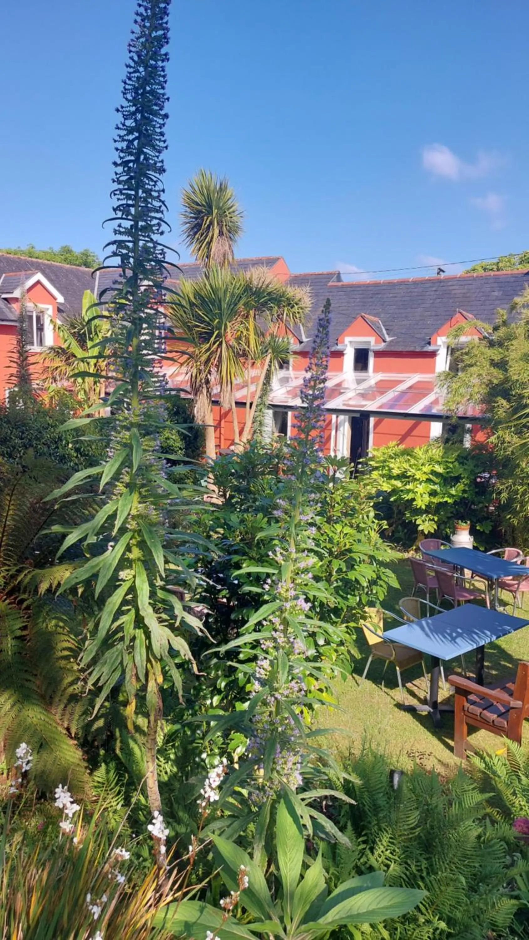 Property building in Rolfs Country House