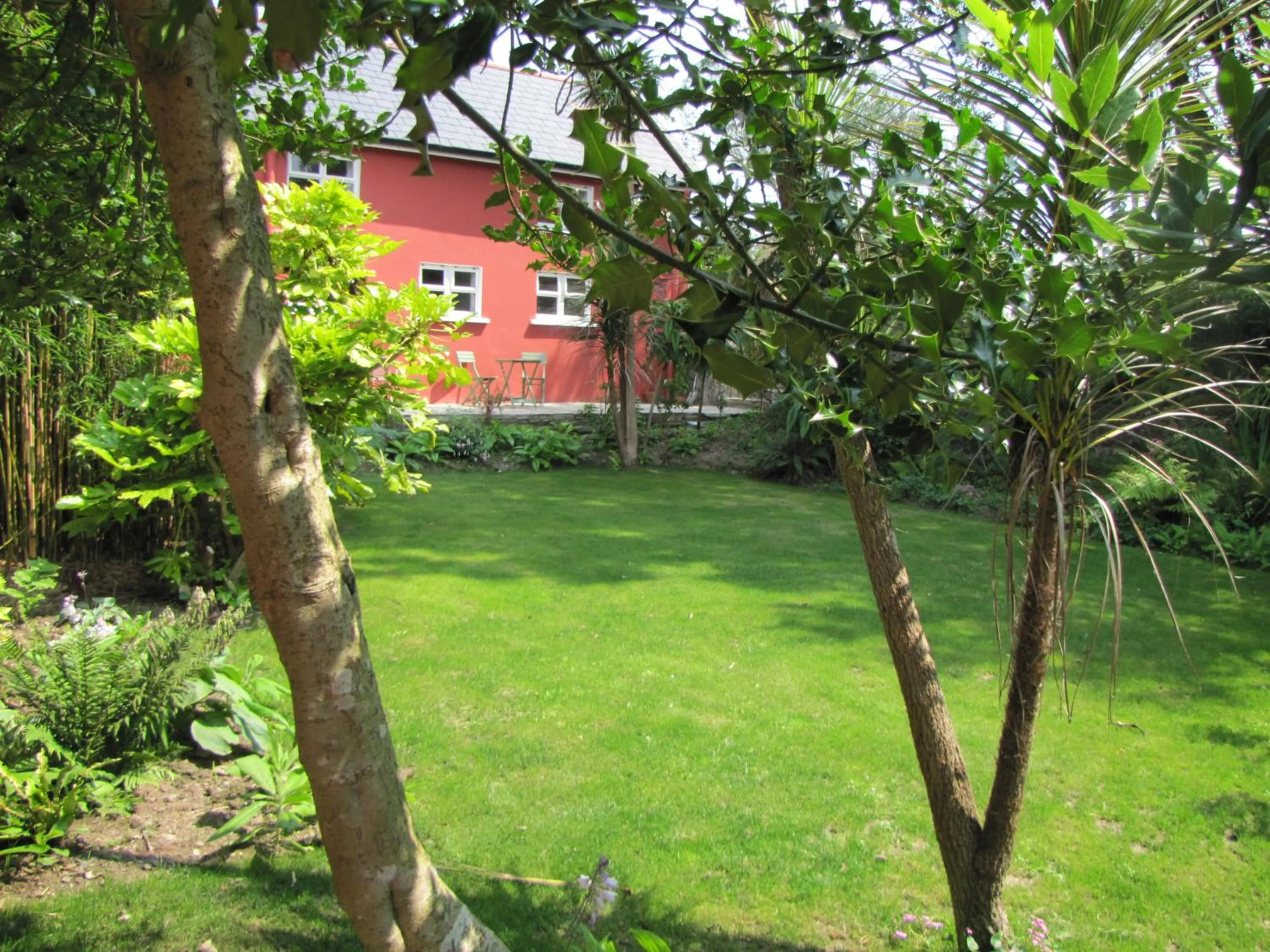 View (from property/room) in Rolfs Country House