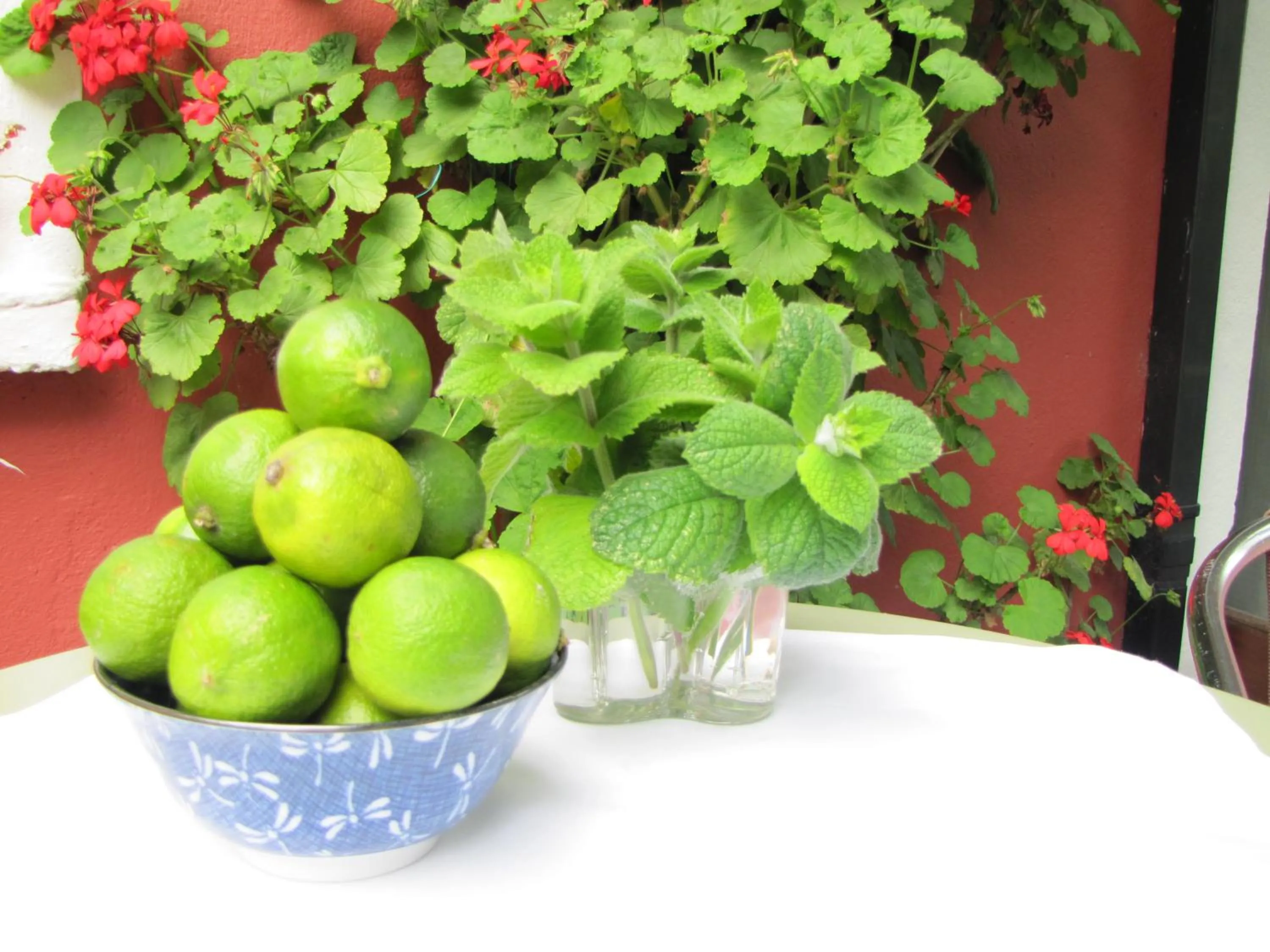 Breakfast in Rolfs Country House