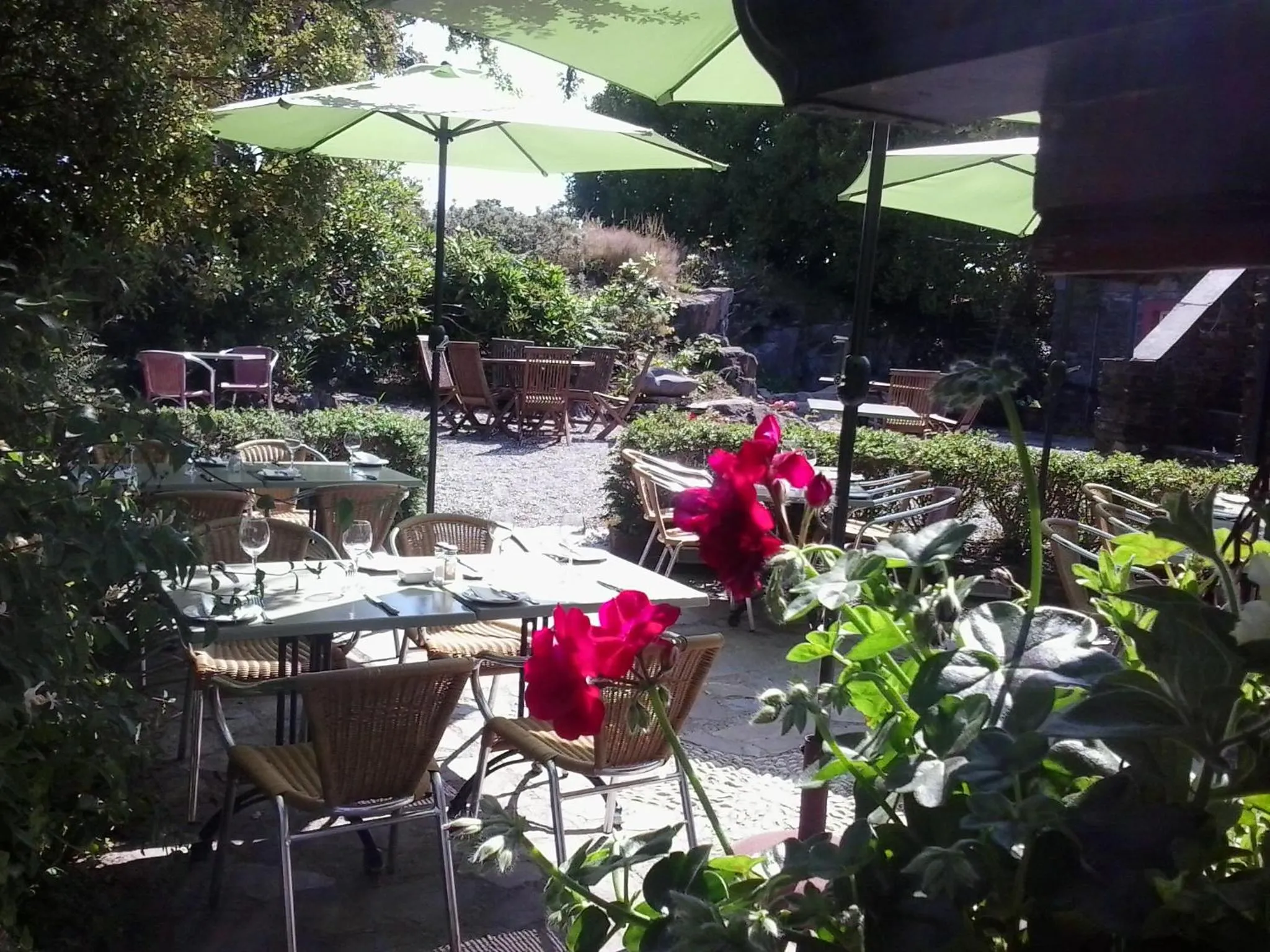 Restaurant/places to eat in Rolfs Country House