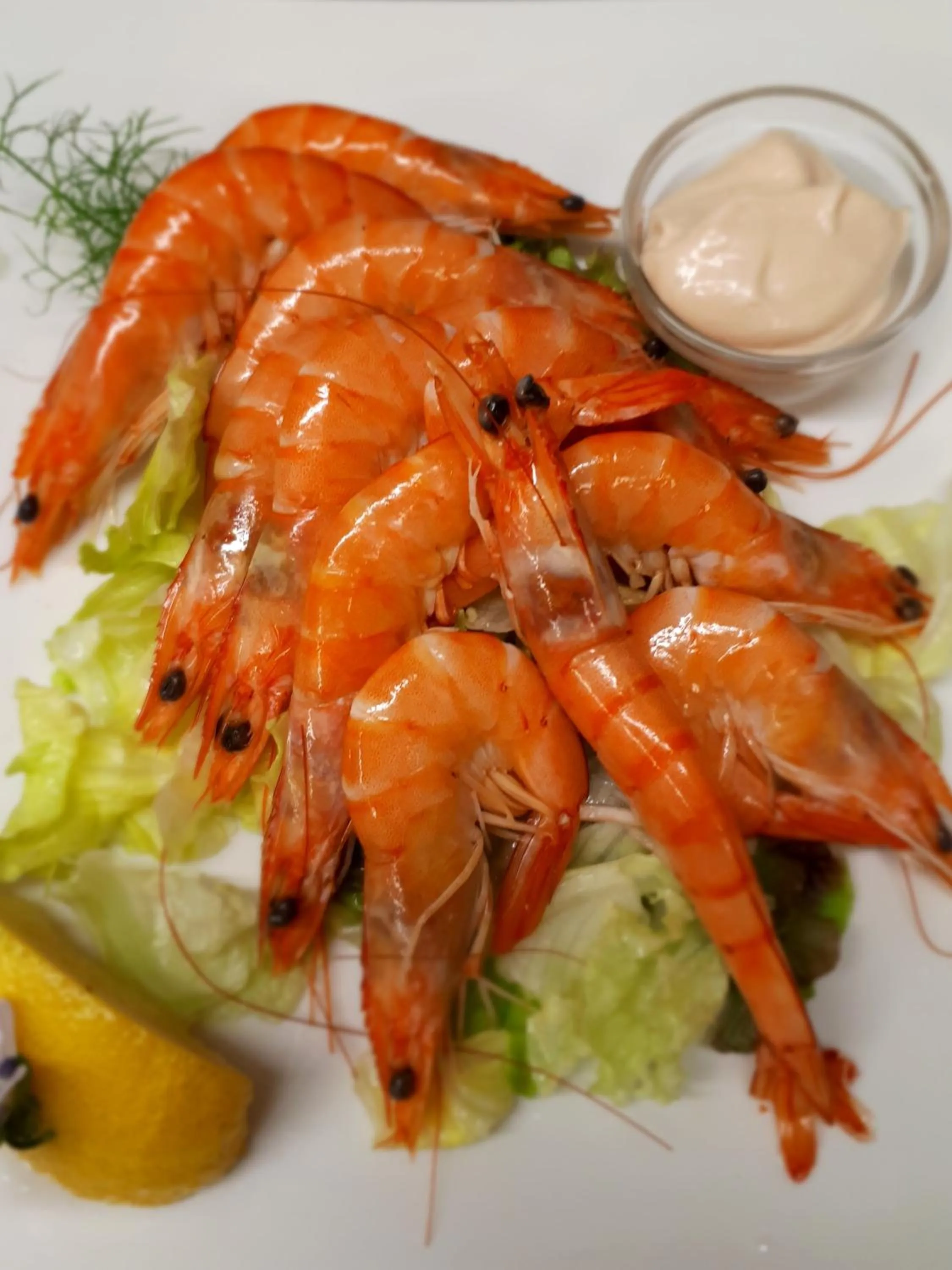 Restaurant/places to eat in Rolfs Country House