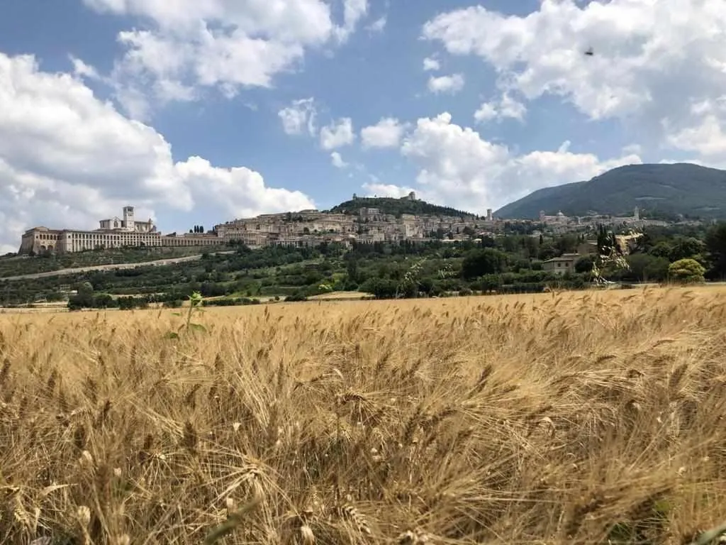 Mavitur Rooms Assisi