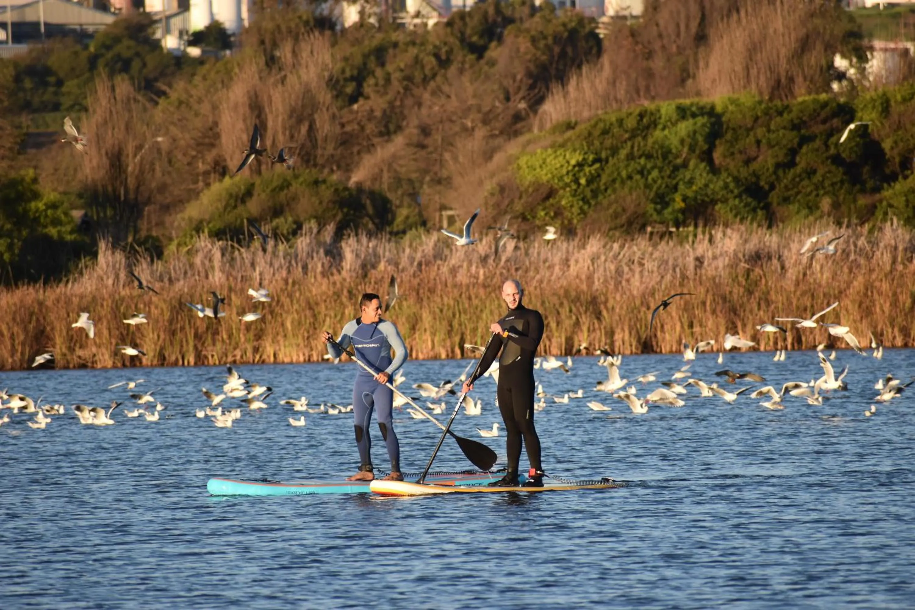 Entertainment in Bahía Luz Hostal