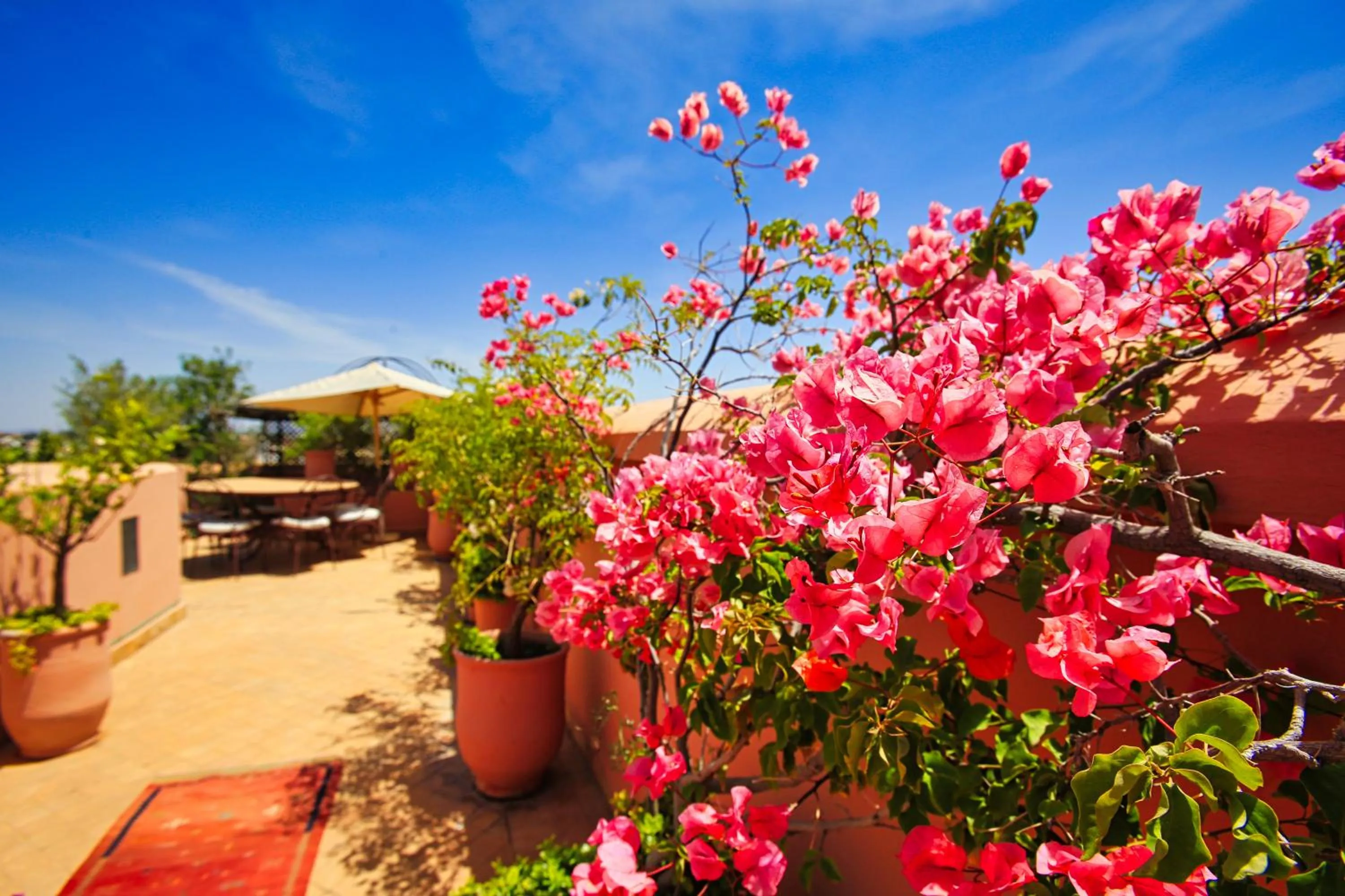 Balcony/Terrace in Riad du Ciel Marrakech