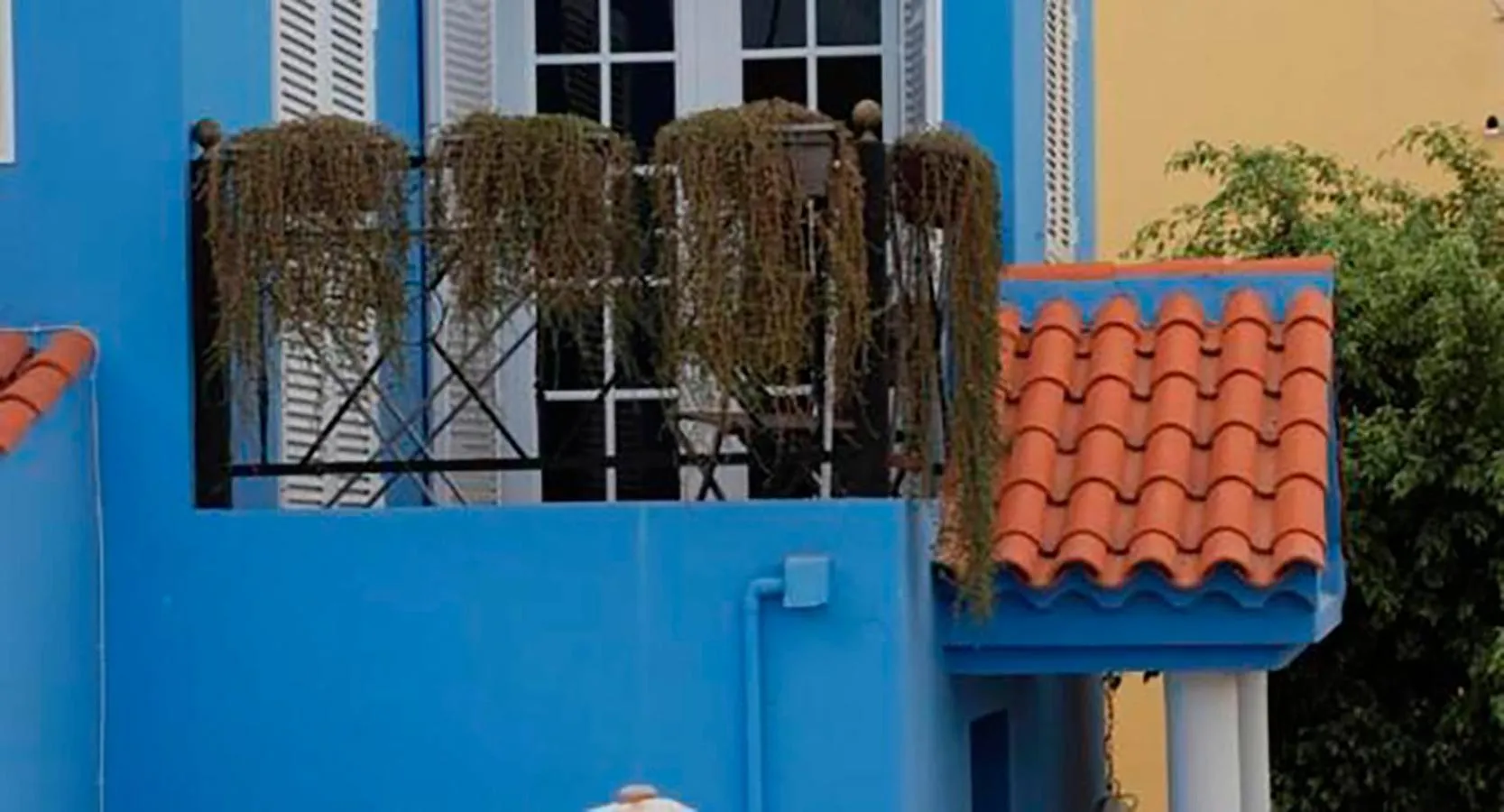 Balcony/Terrace in Bed & Breakfast Tenerife