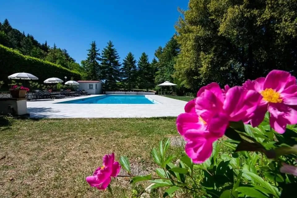 Swimming pool in Villa Gioia Civita