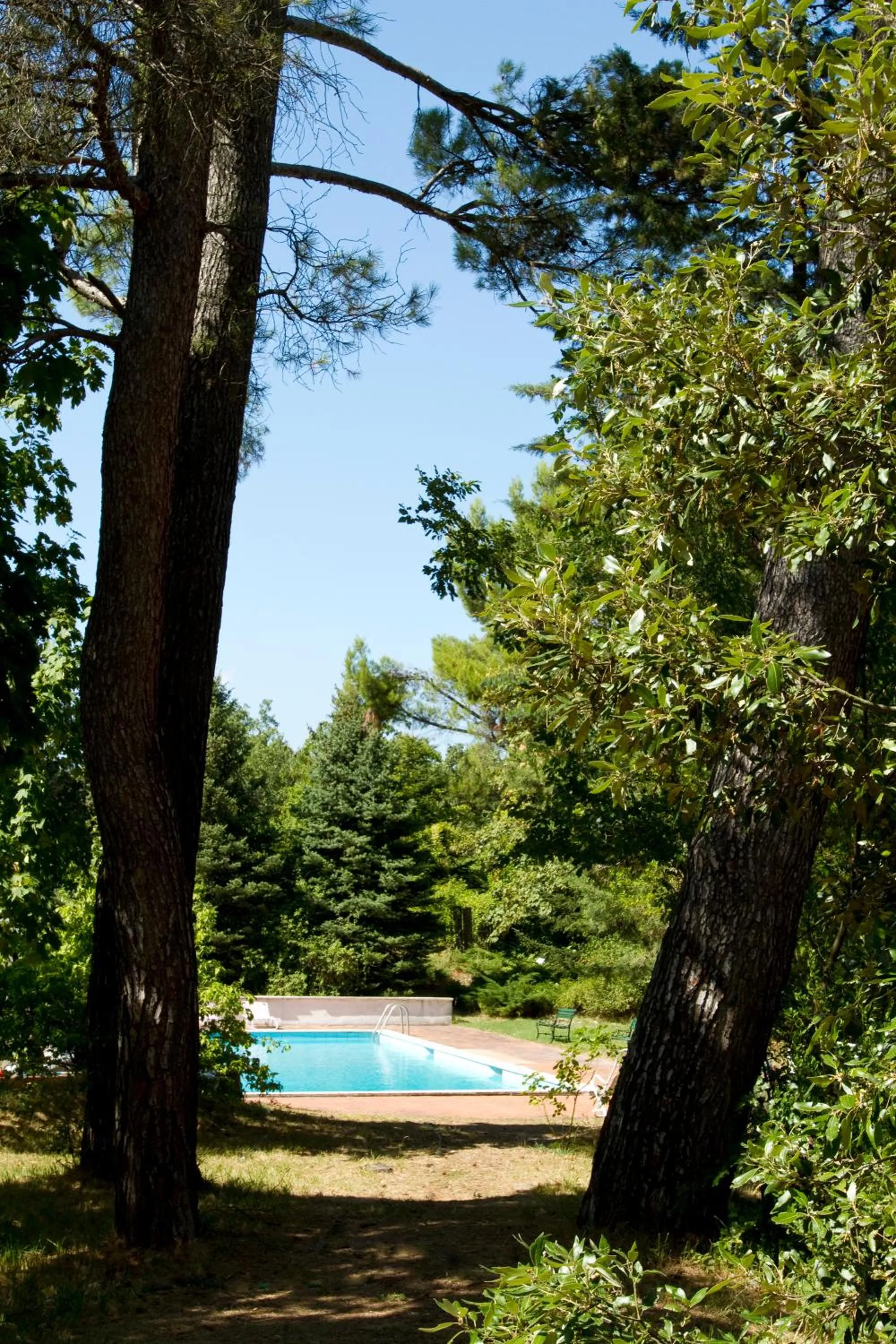 Swimming pool in Villa Gioia Civita