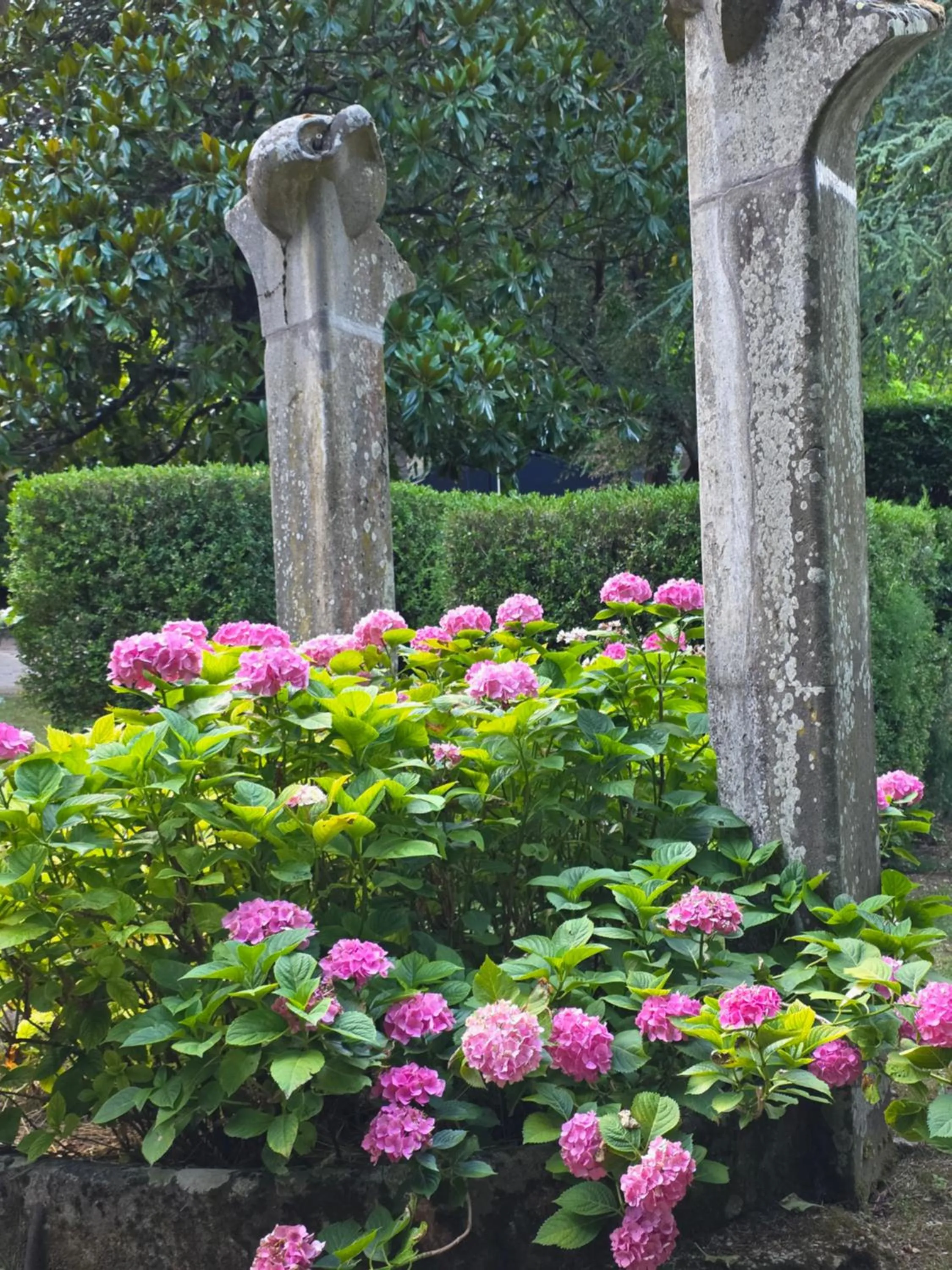 Garden in Villa Gioia Civita