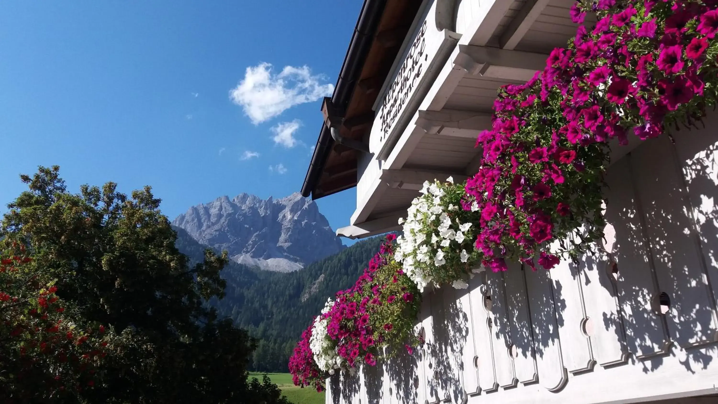 Residence Alpenrose Residence Alpenrose